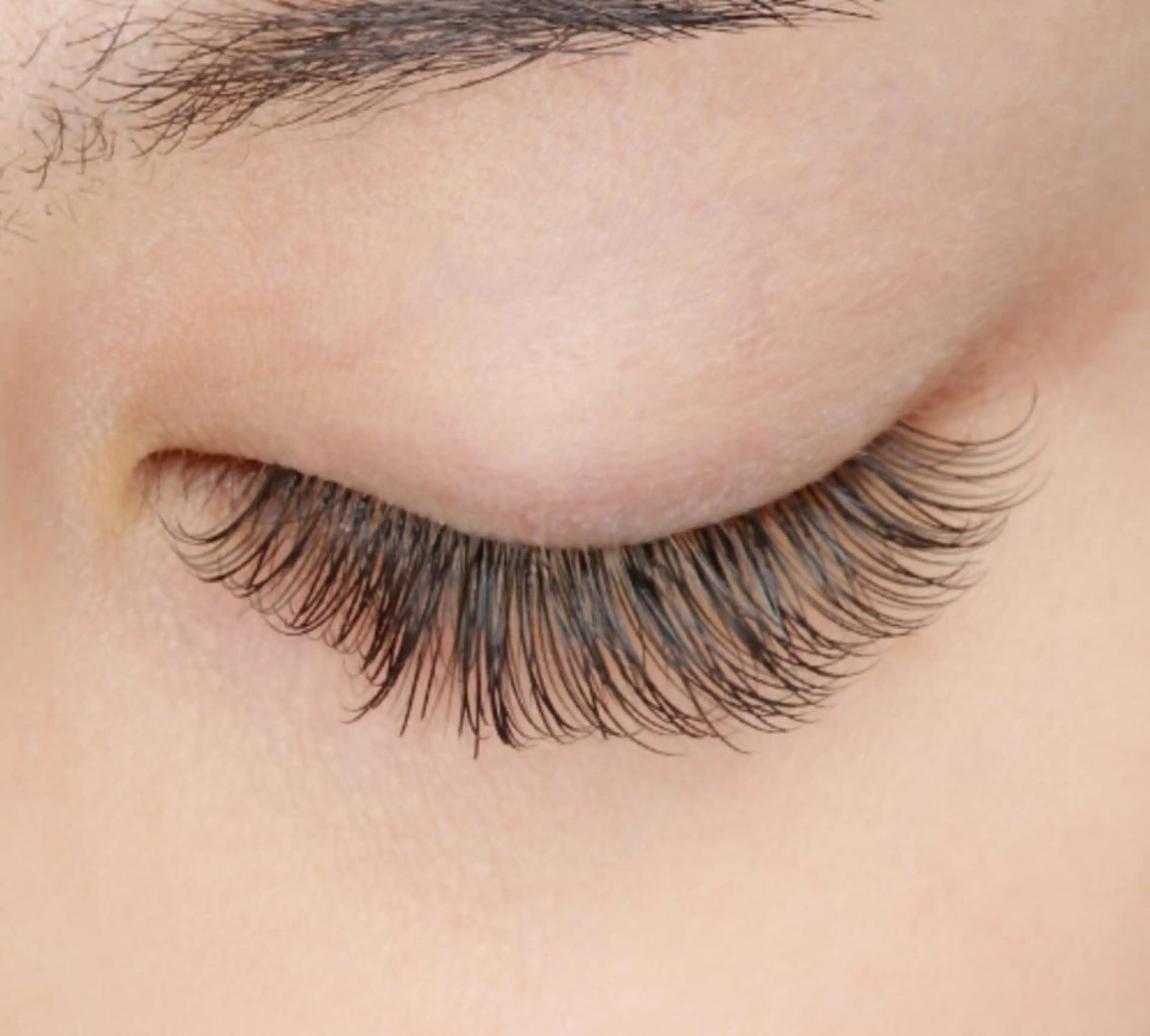 マツエク・マツパ 付け放題 Cカール フラットラッシュ マツエク Camel 🐫のマツエク・マツパデザイン