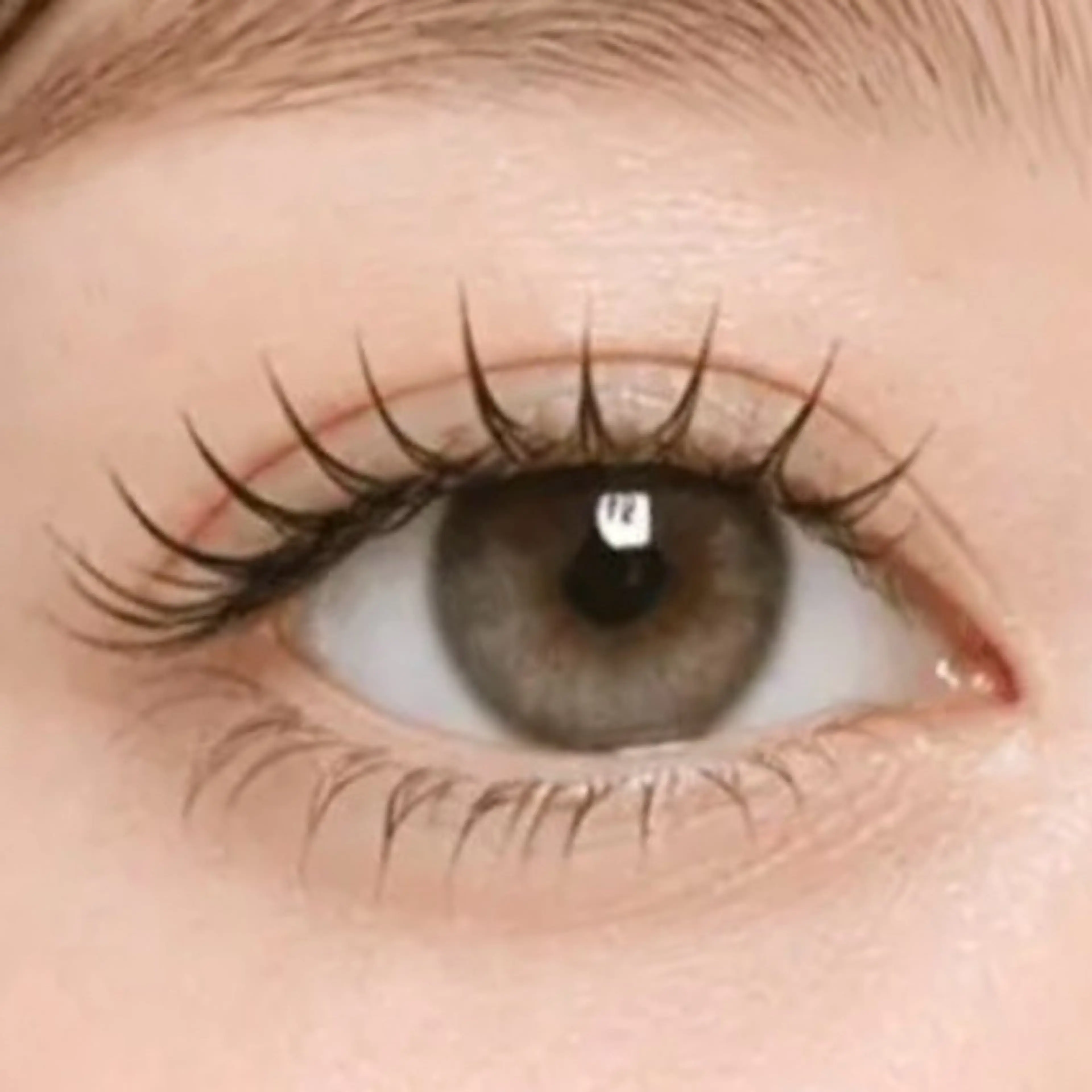 【初回の方限定】まつ毛パーマ/ラッシュリフト上(Wトリートメント付)　60分の写真