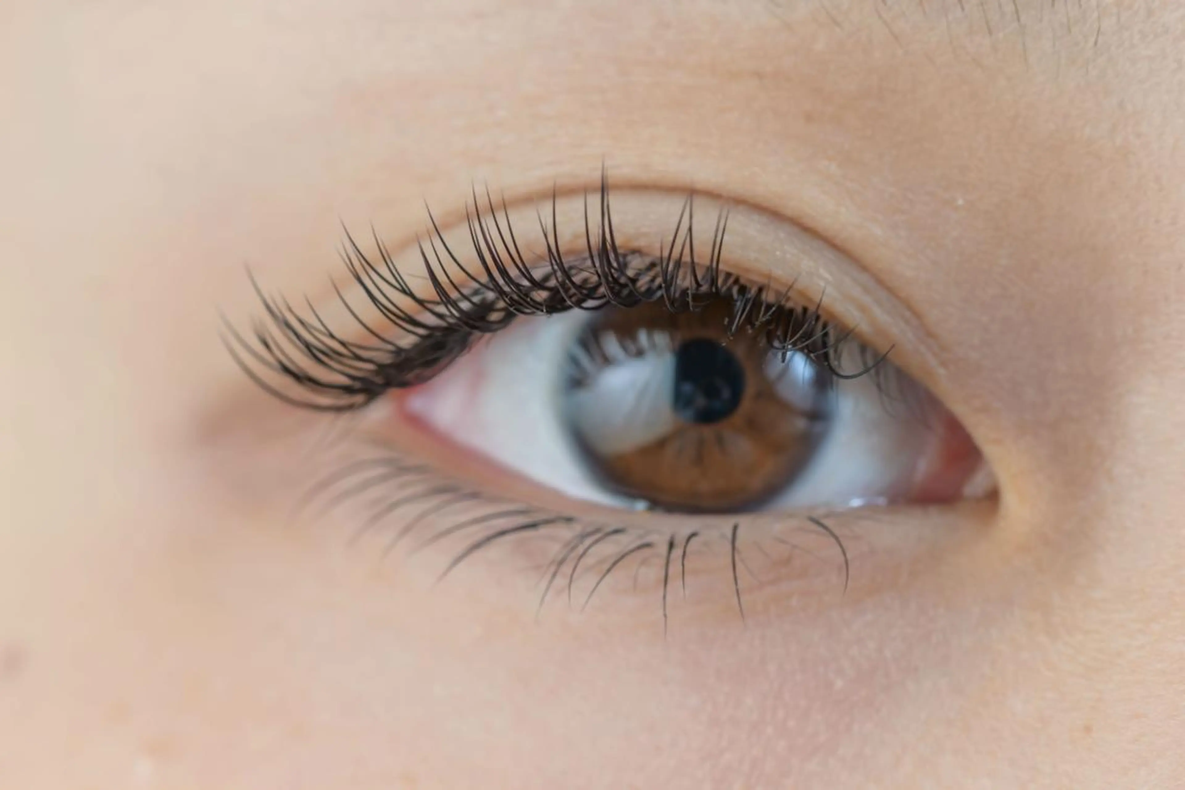 マツエク・マツパ セーブル アイサロン フェア 海老名店のマツエク・マツパデザイン