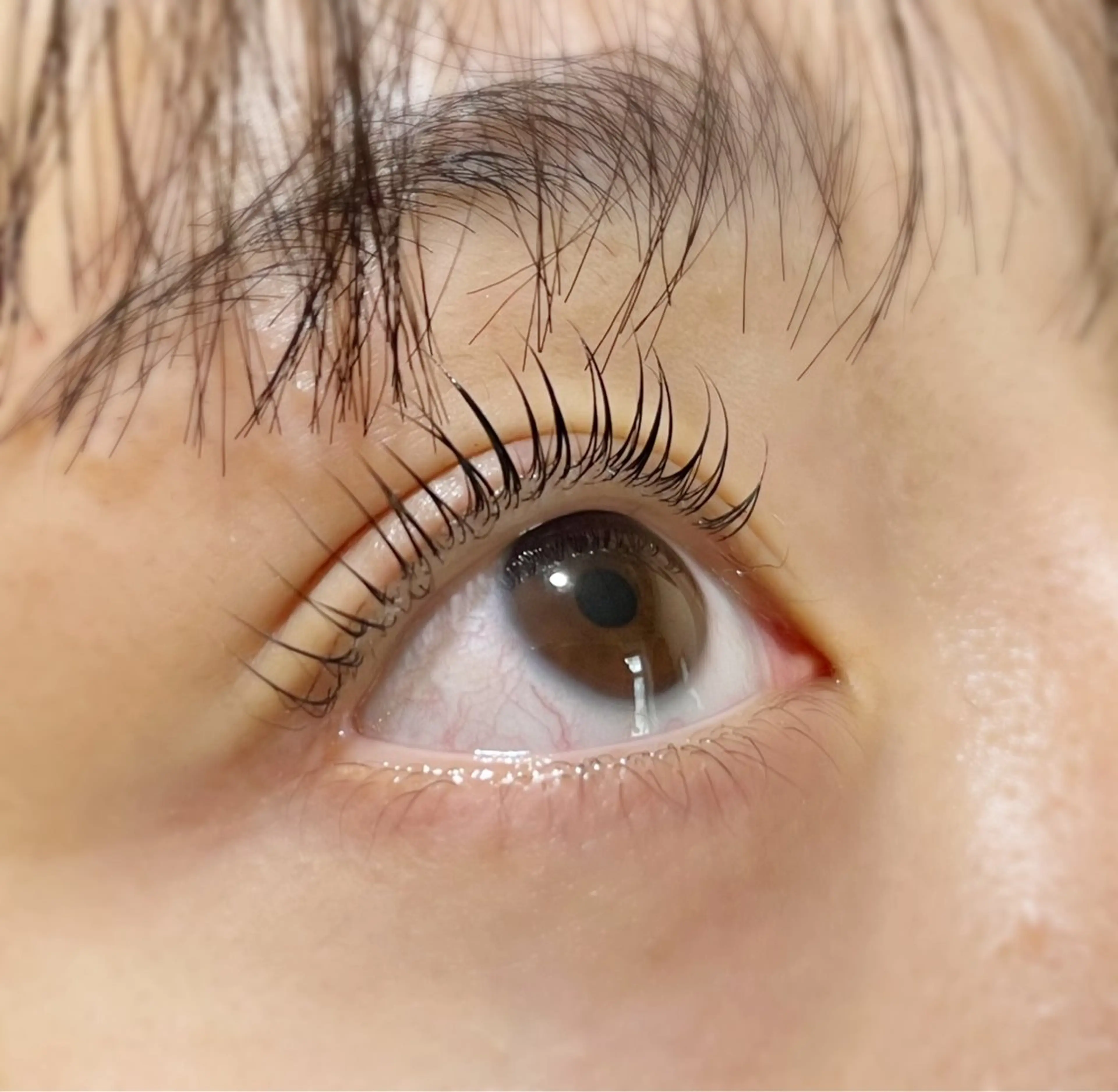 マツエク・マツパ パリジェンヌラッシュリフト eyelash salon Enneのマツエク・マツパデザイン