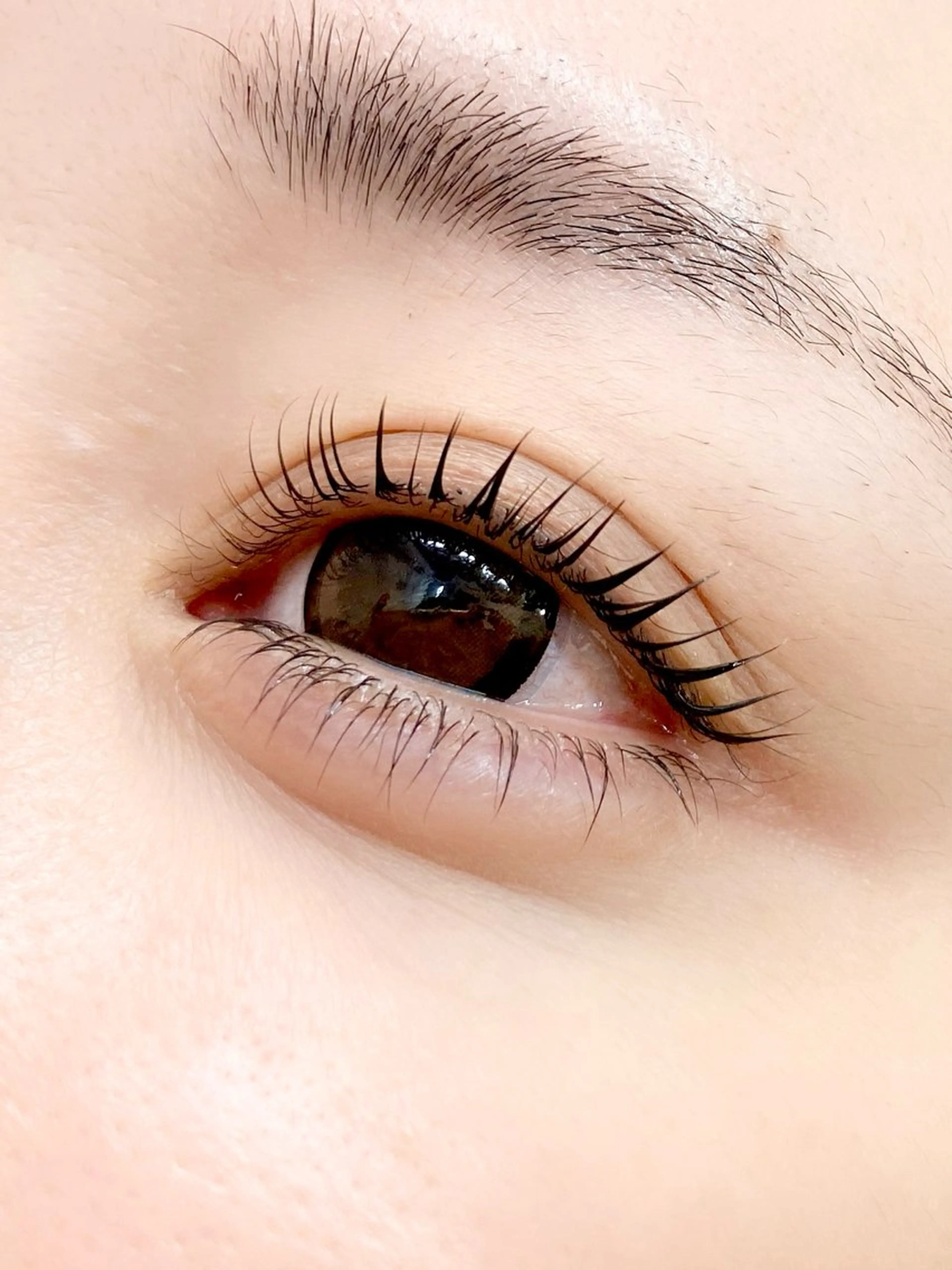 🧸上下韓国風まつ毛パーマ🧸3種のケア付きの写真