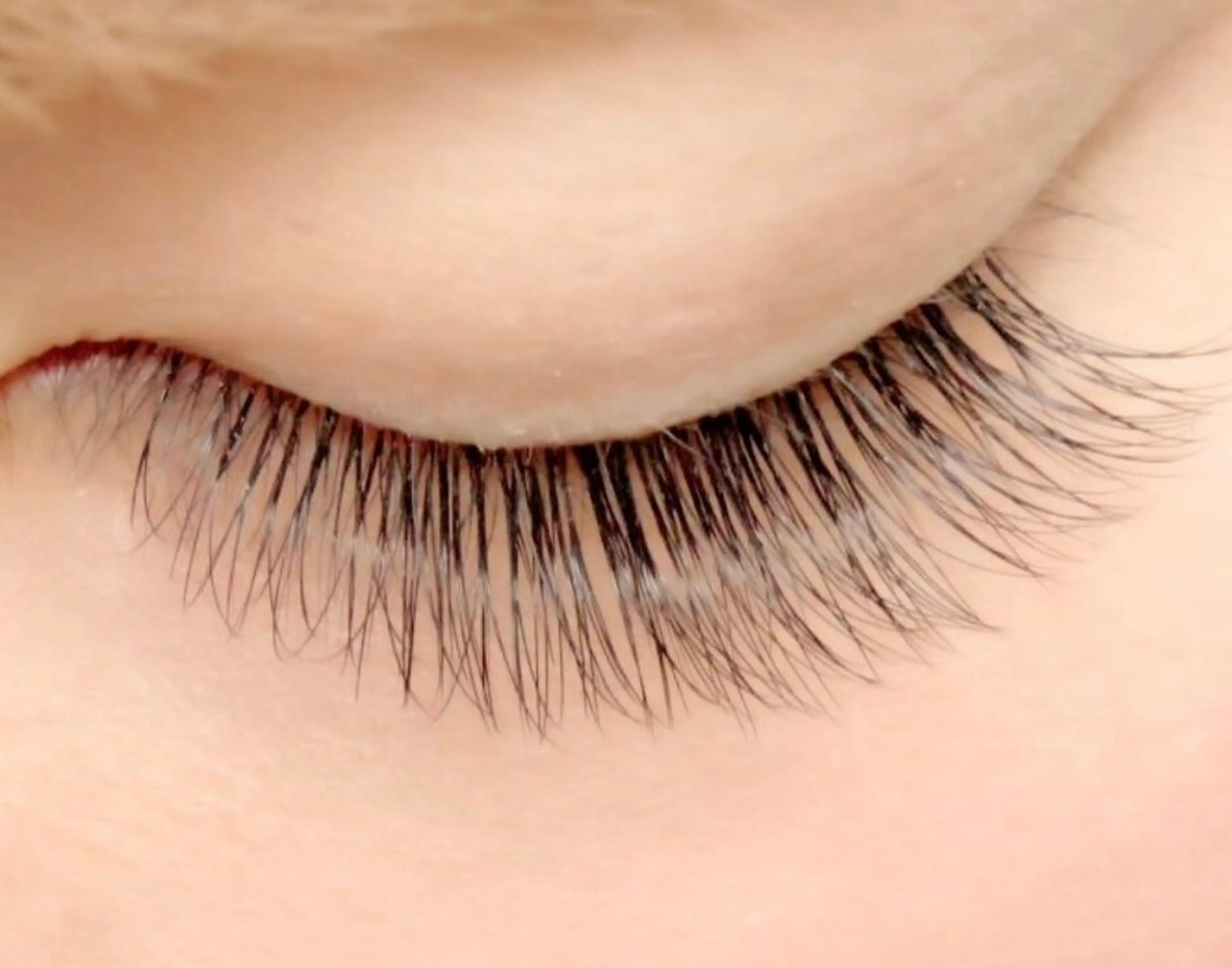 🔸平日限定🔸ボリュームラッシュ付け放題【オフ込み】の写真