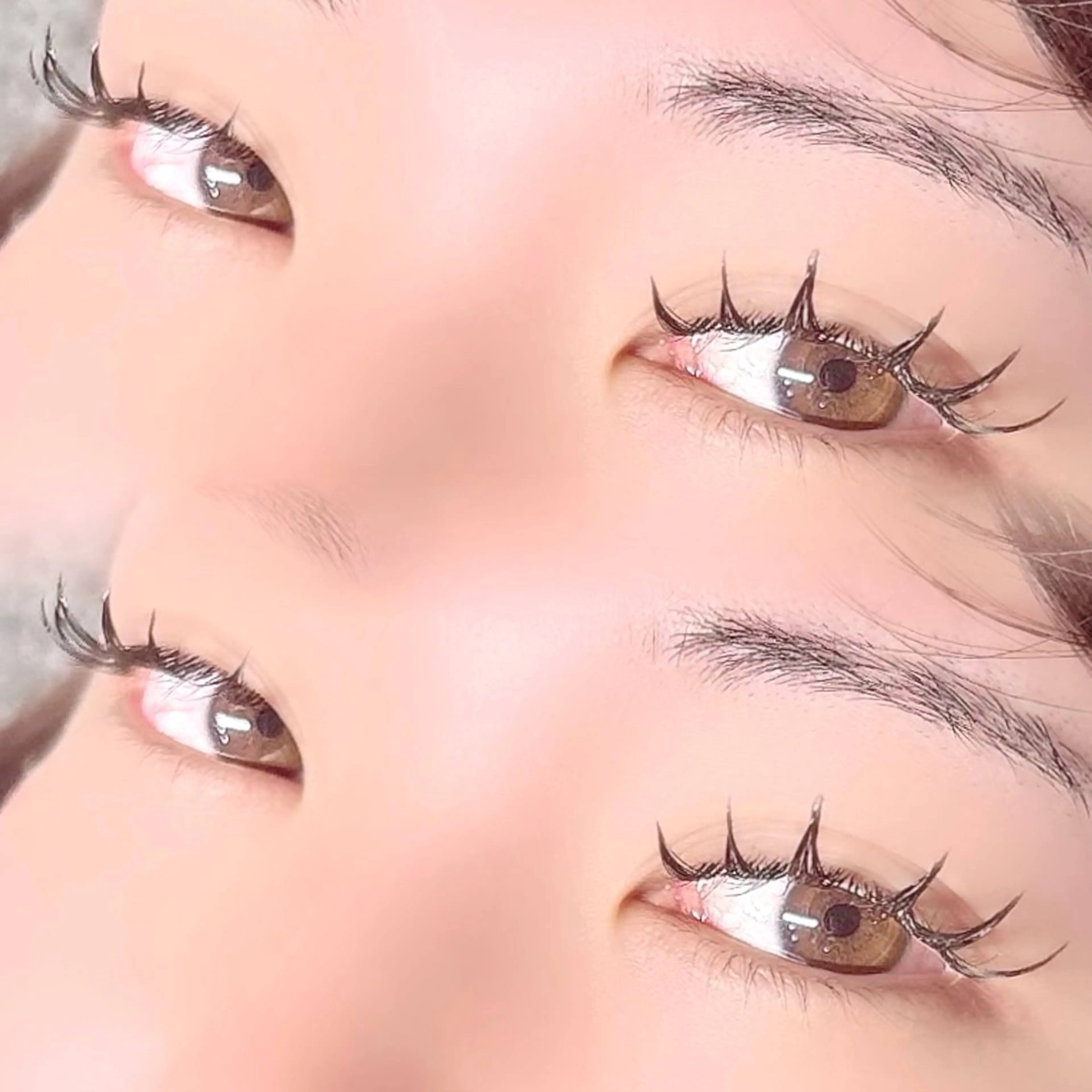 マツエク・マツパ マツエク Fuka. Lash 𐙚⸝⸝꙳のマツエク・マツパデザイン