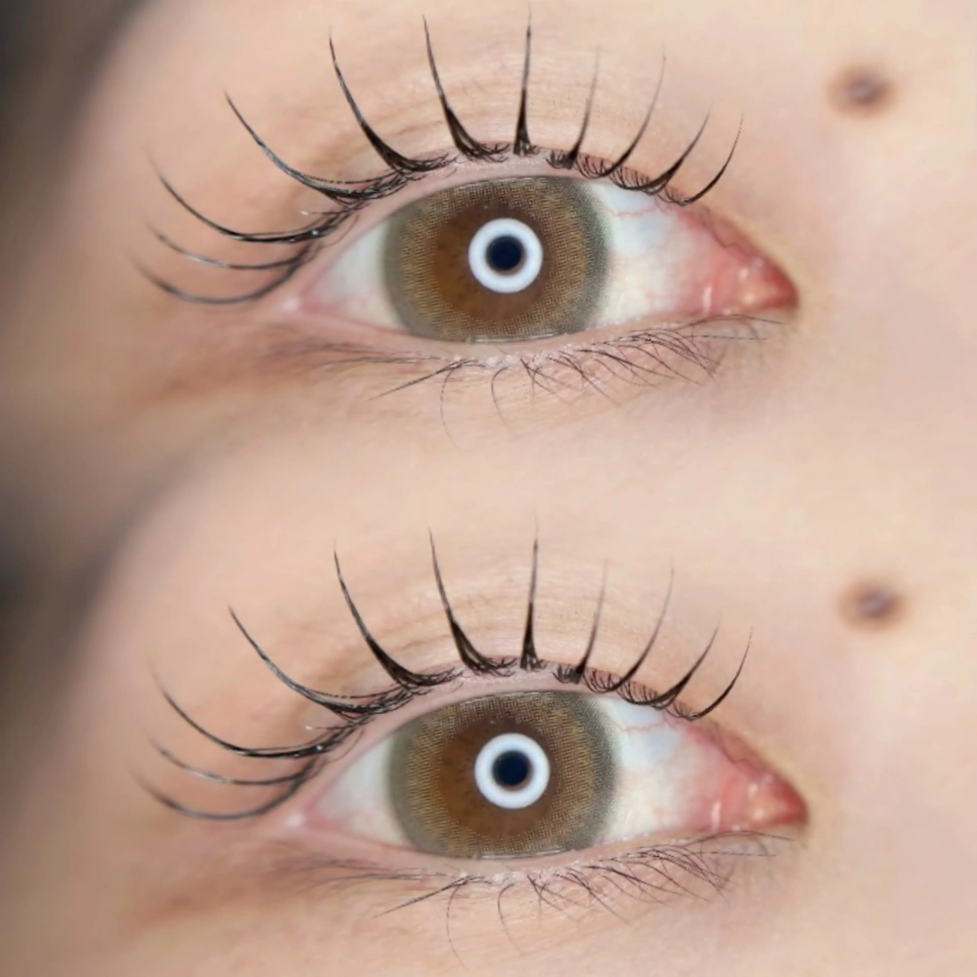 マツエク・マツパ 韓国風マツエク まつげパーマ 一重×まつ毛パーマ 🦋MaaZlash 南流山FUKA🤍のマツエク・マツパデザイン