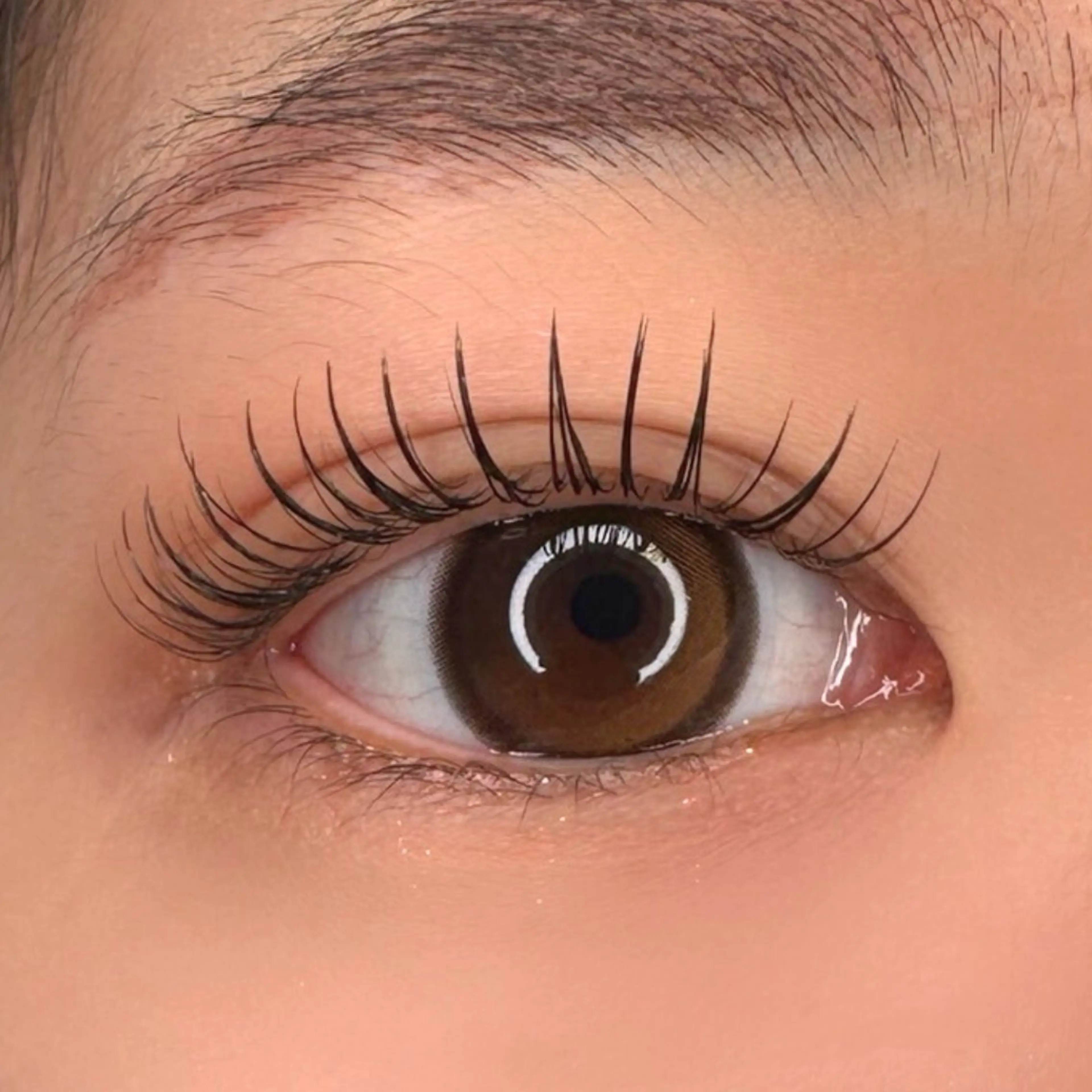 マツエク・マツパ マツエク EARTH coiffure beauté つくば学園店所属・松川 陽子のマツエク・マツパデザイン