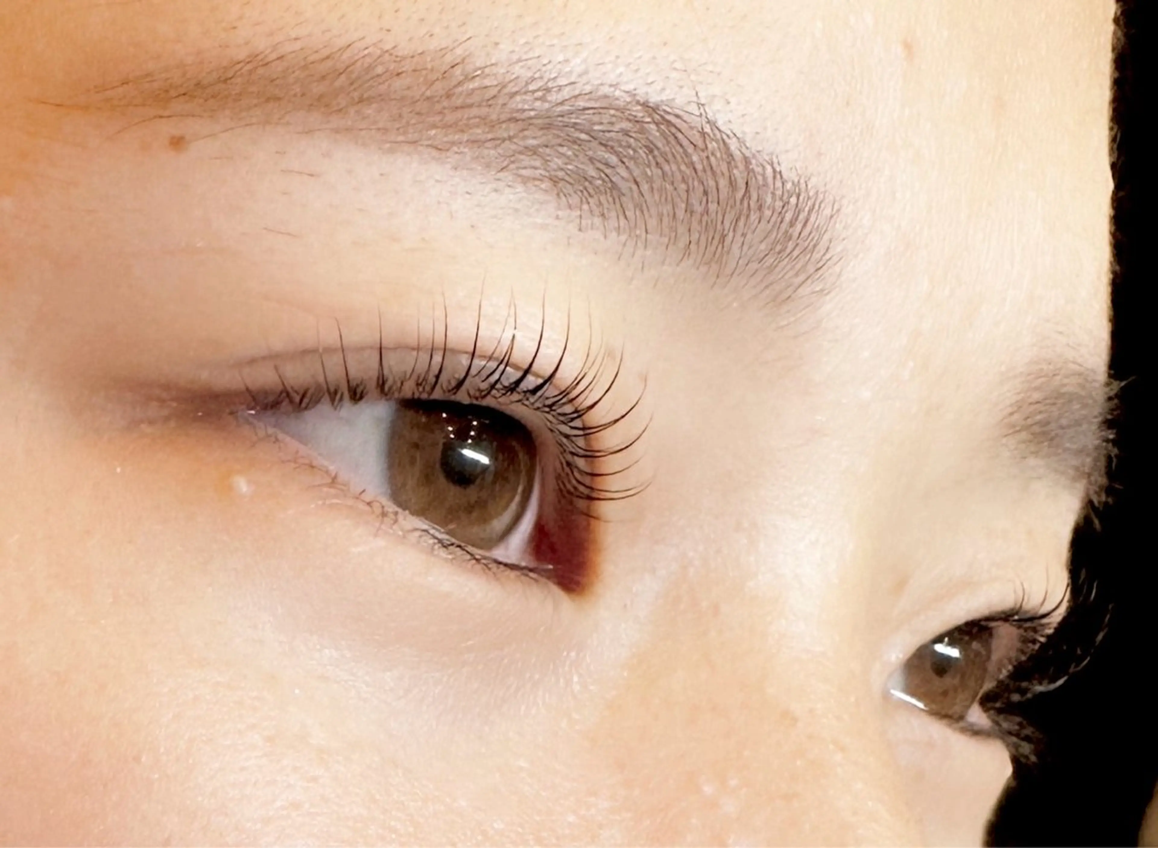 当日1名様限定⭐️まつ毛パーマ 4000円税込の写真