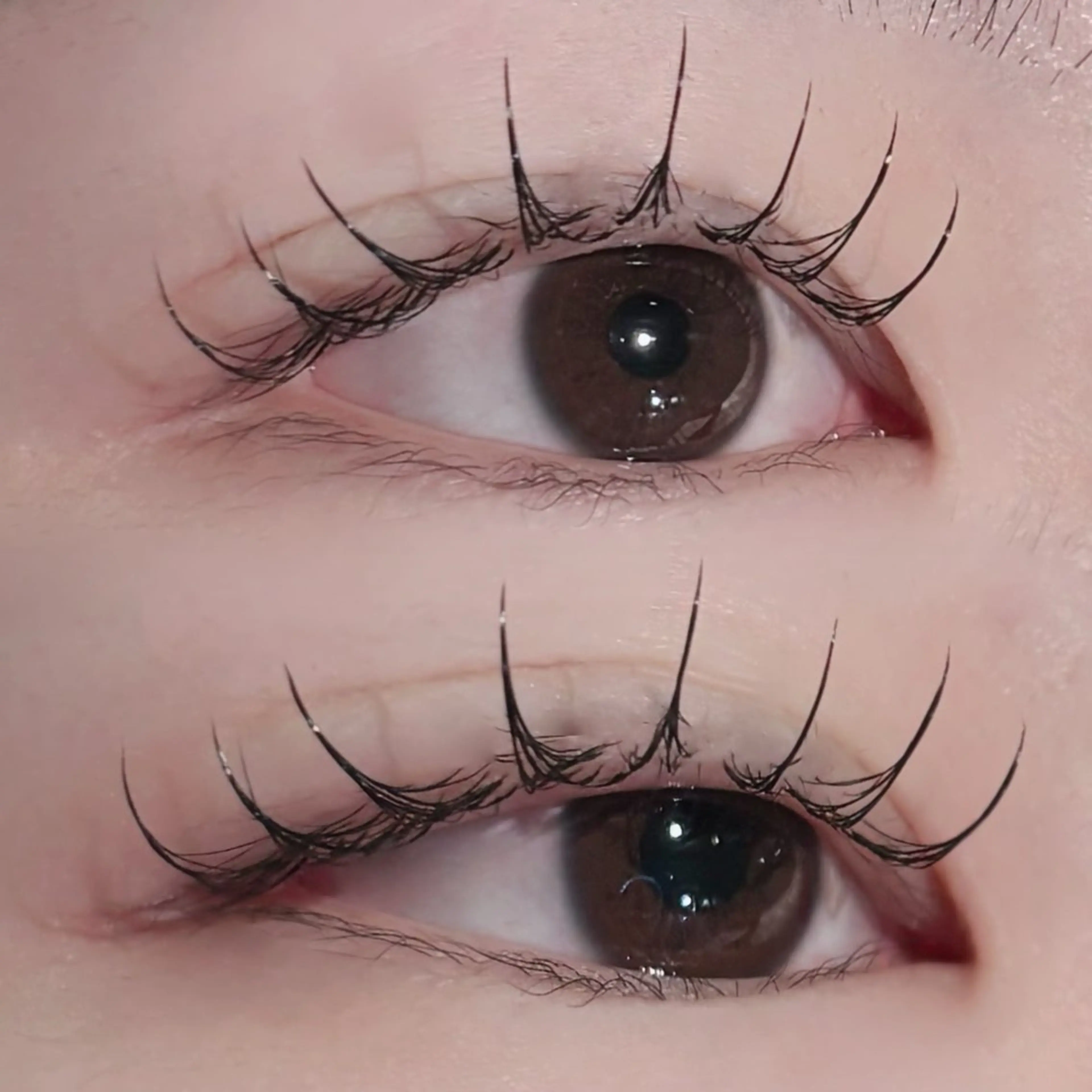 マツエク・マツパ ナチュラル Brandnew 大和西大寺elliのマツエク・マツパデザイン