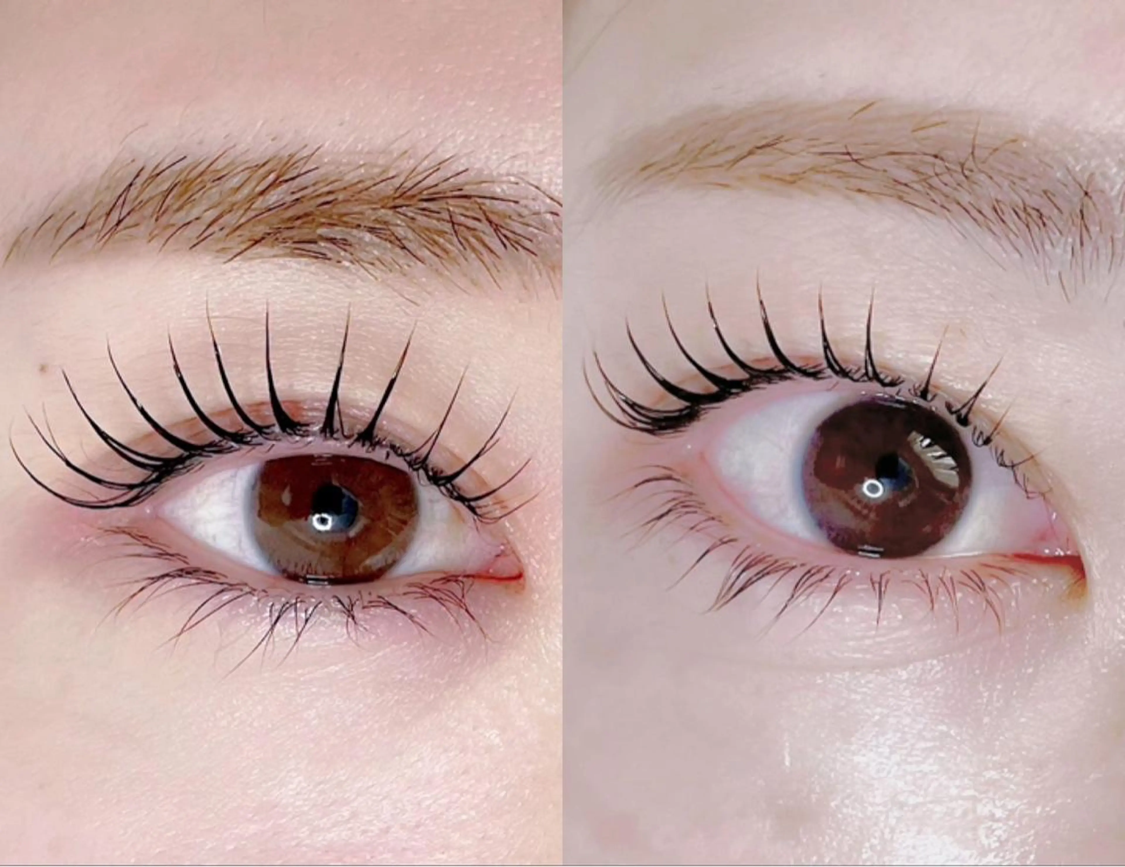 ご新規様🛒´-上まつげパーマ¥2800🫧パリジェンヌ/韓国風仕上などデザイン選択okの写真