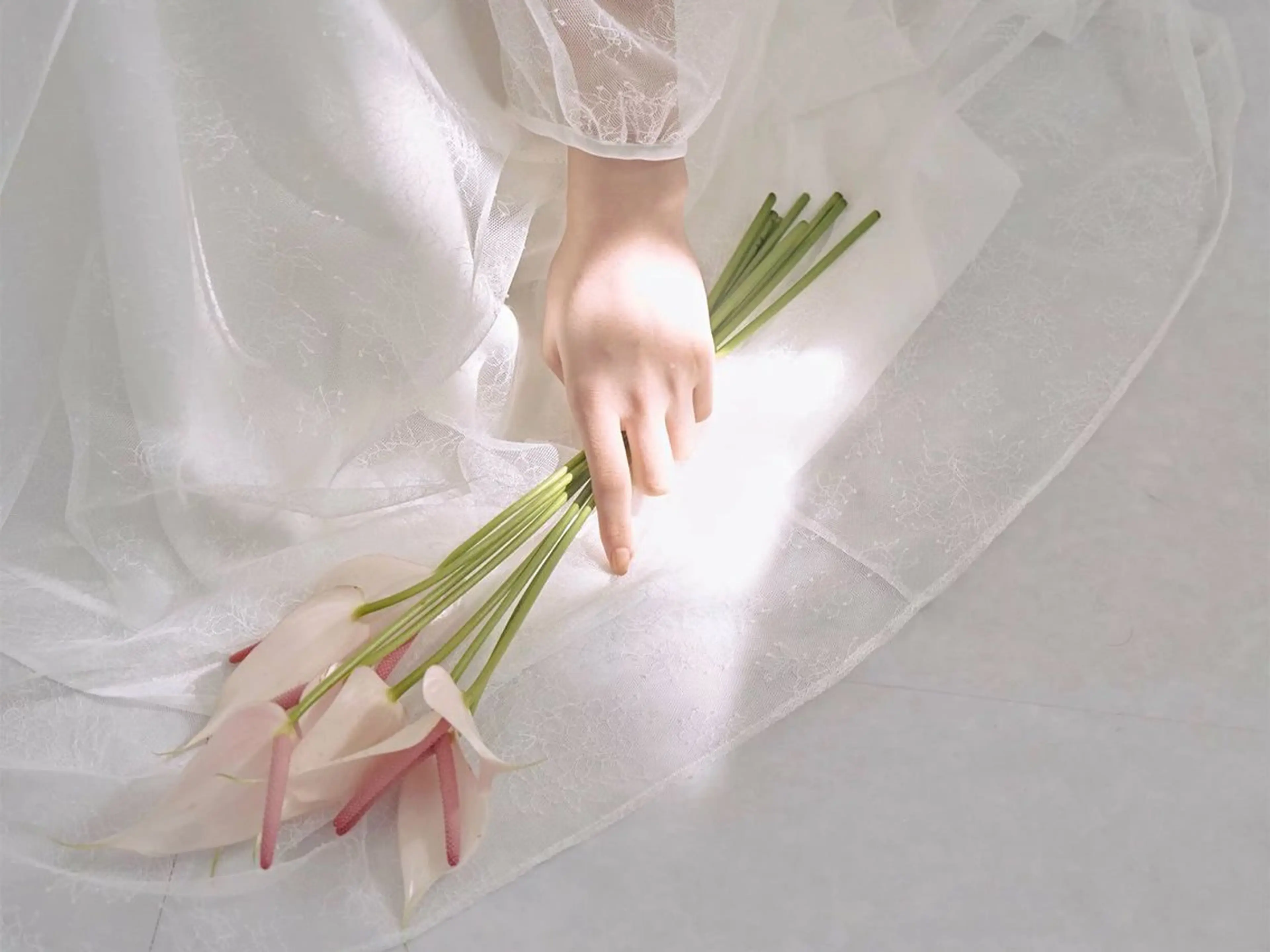 パーソナルカラー診断 骨格診断 顔タイプ診断 パーソナルカラー診断 骨格/顔🪞Kanaのその他イメージ