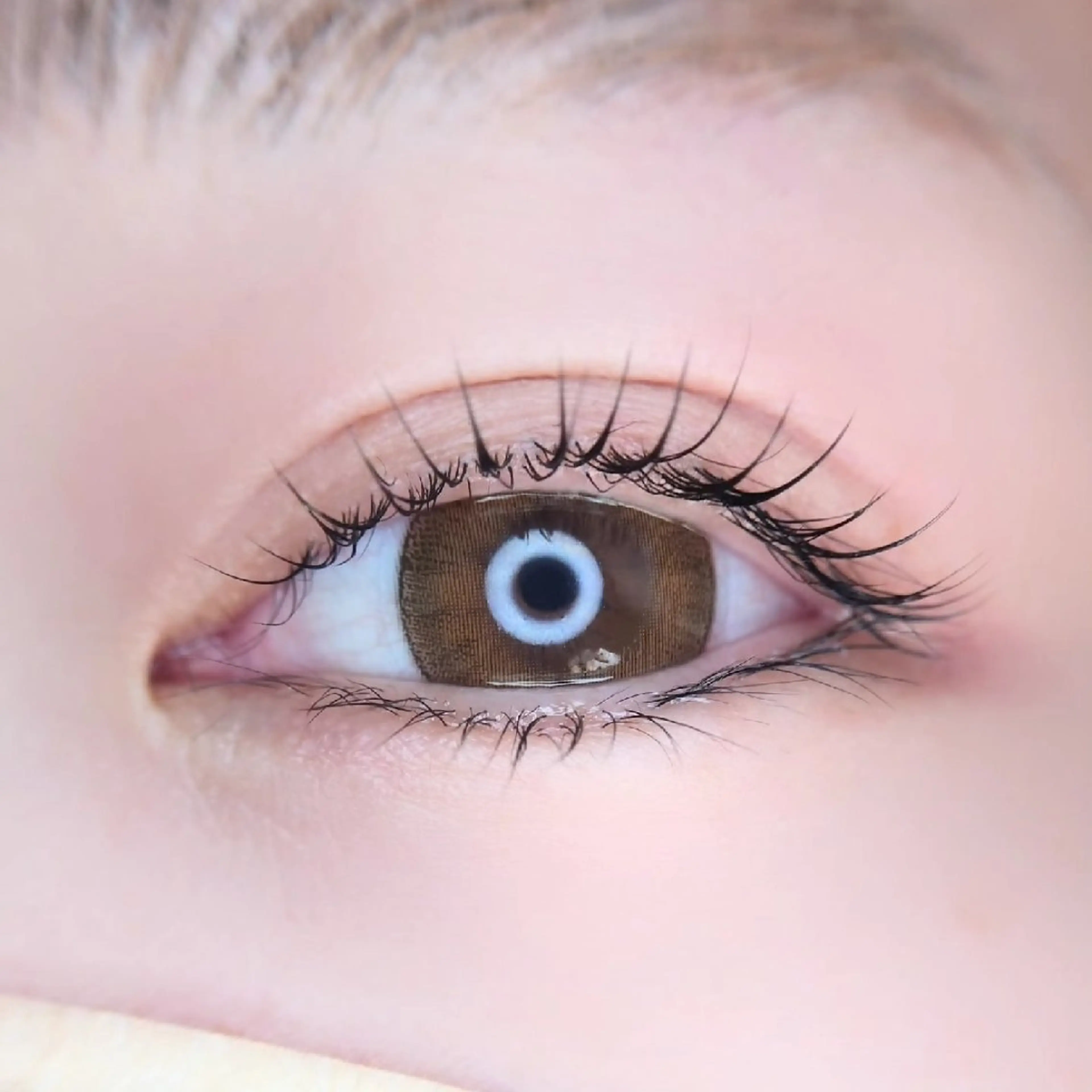 マツエク・マツパ Chelu TOMのマツエク・マツパデザイン