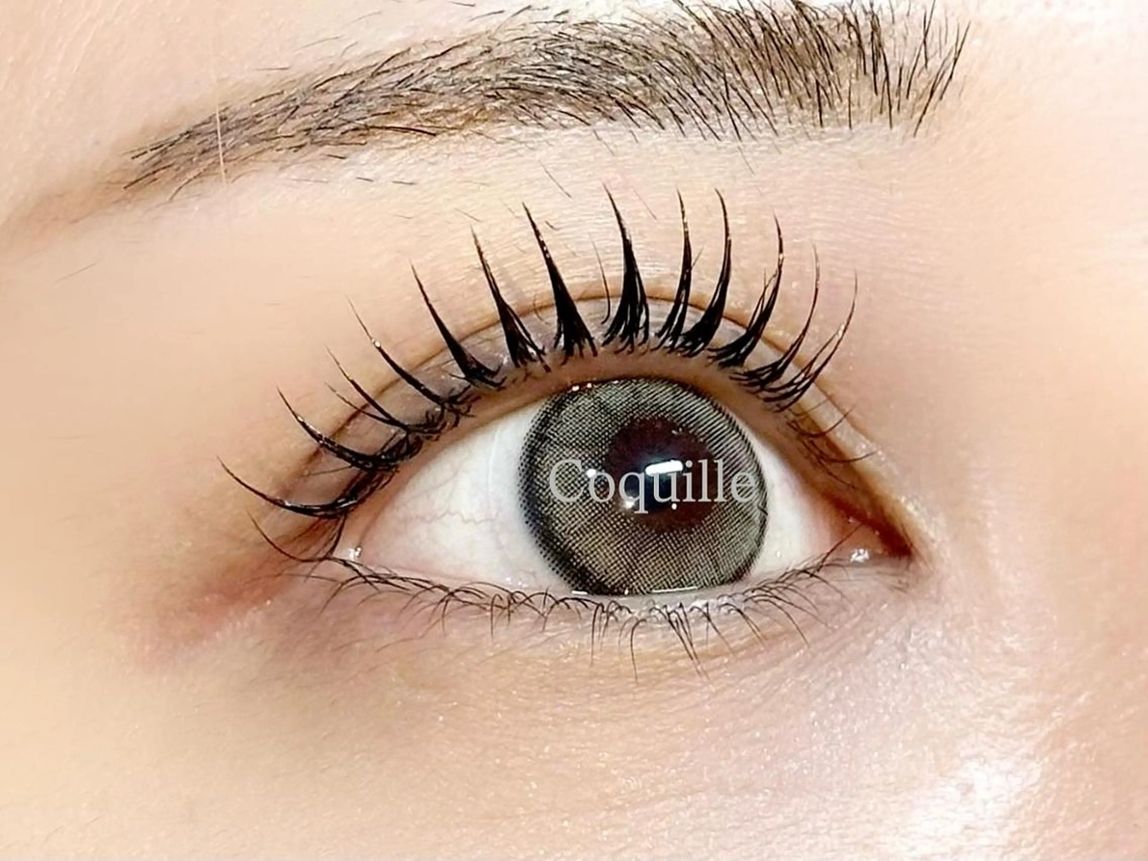 🌻LEDフラット120本オフ込みの写真