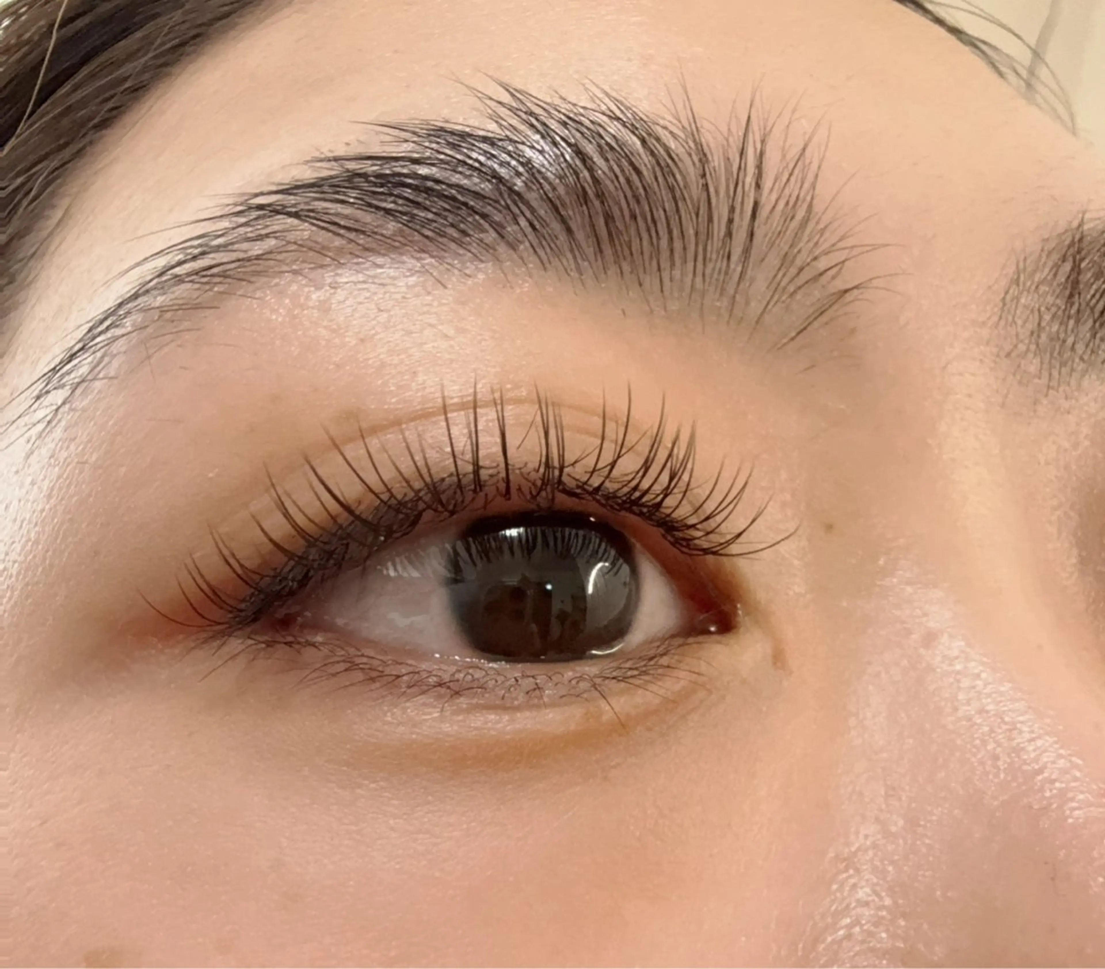 【3月限定限定★最軽量】LEDフラットラッシュ 100本★コーティング・アイパック付¥2980の写真