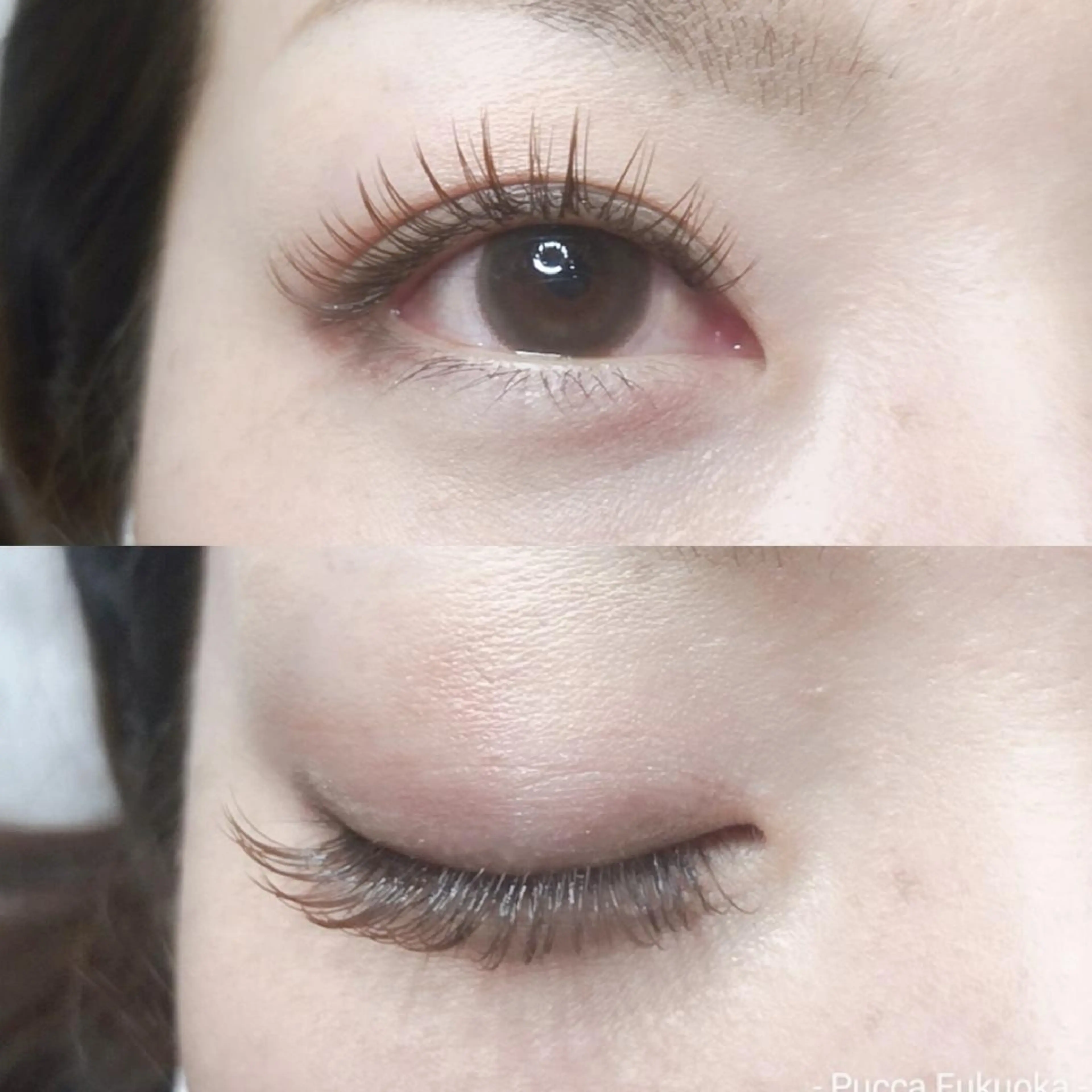 マツエク・マツパ Pucca Fukuokaのマツエク・マツパデザイン