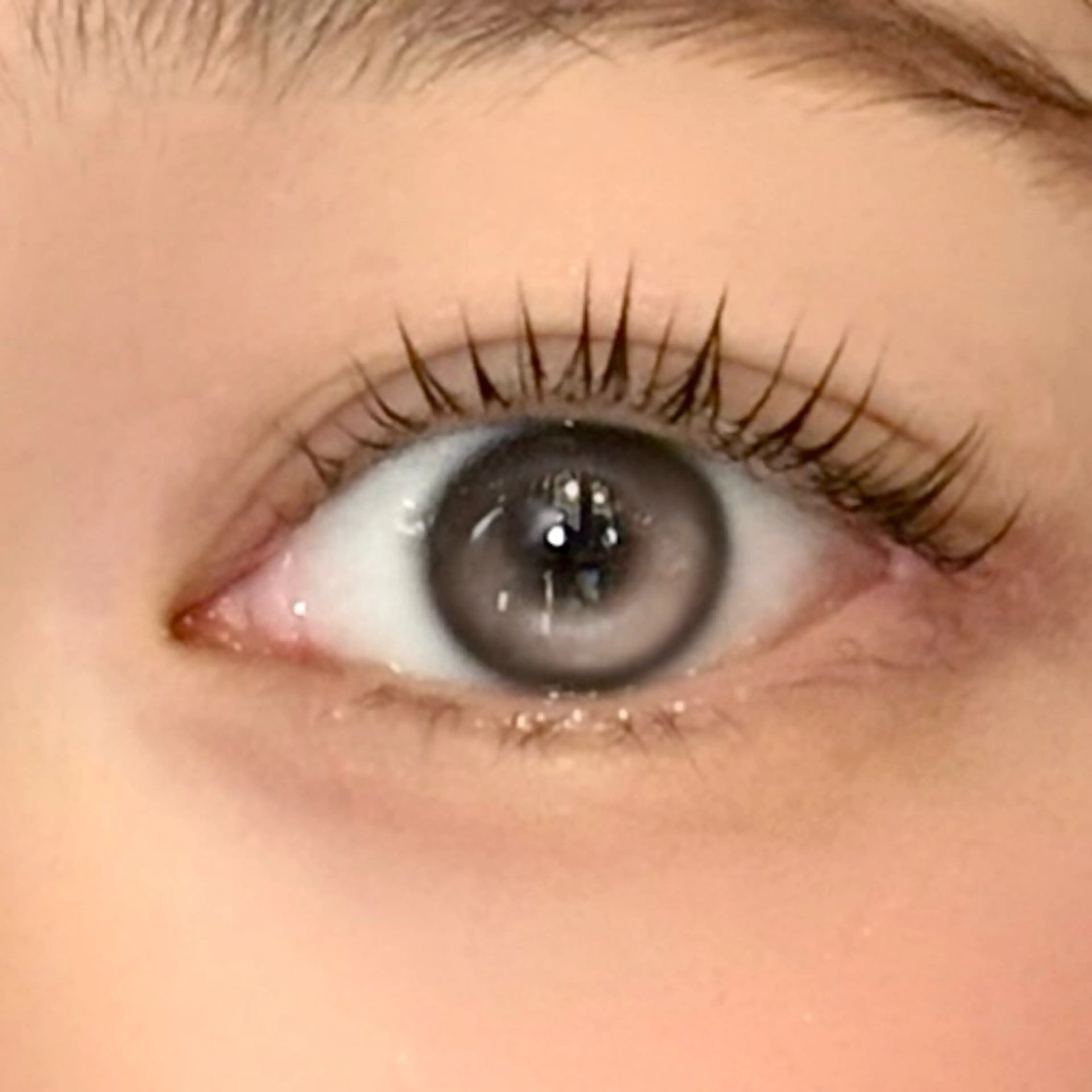 マツエク・マツパ マツパ 🐈‍⬛Mahiro /eyelash🌙のマツエク・マツパデザイン