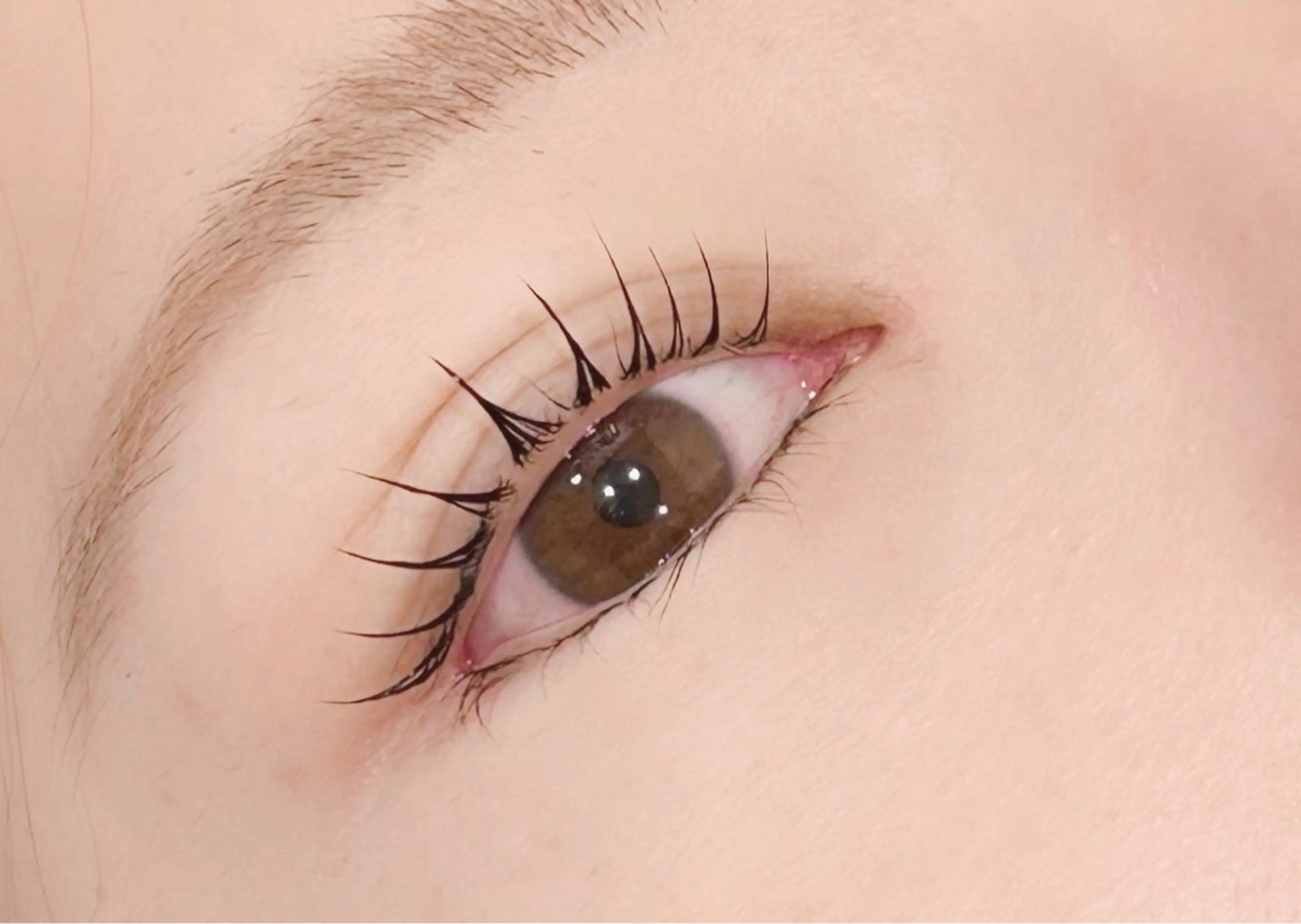 💡前回のご来店から5週間以内来店限定✨🧚🏻‍♀️ラッシュリフト🧚🏻‍♀️の写真