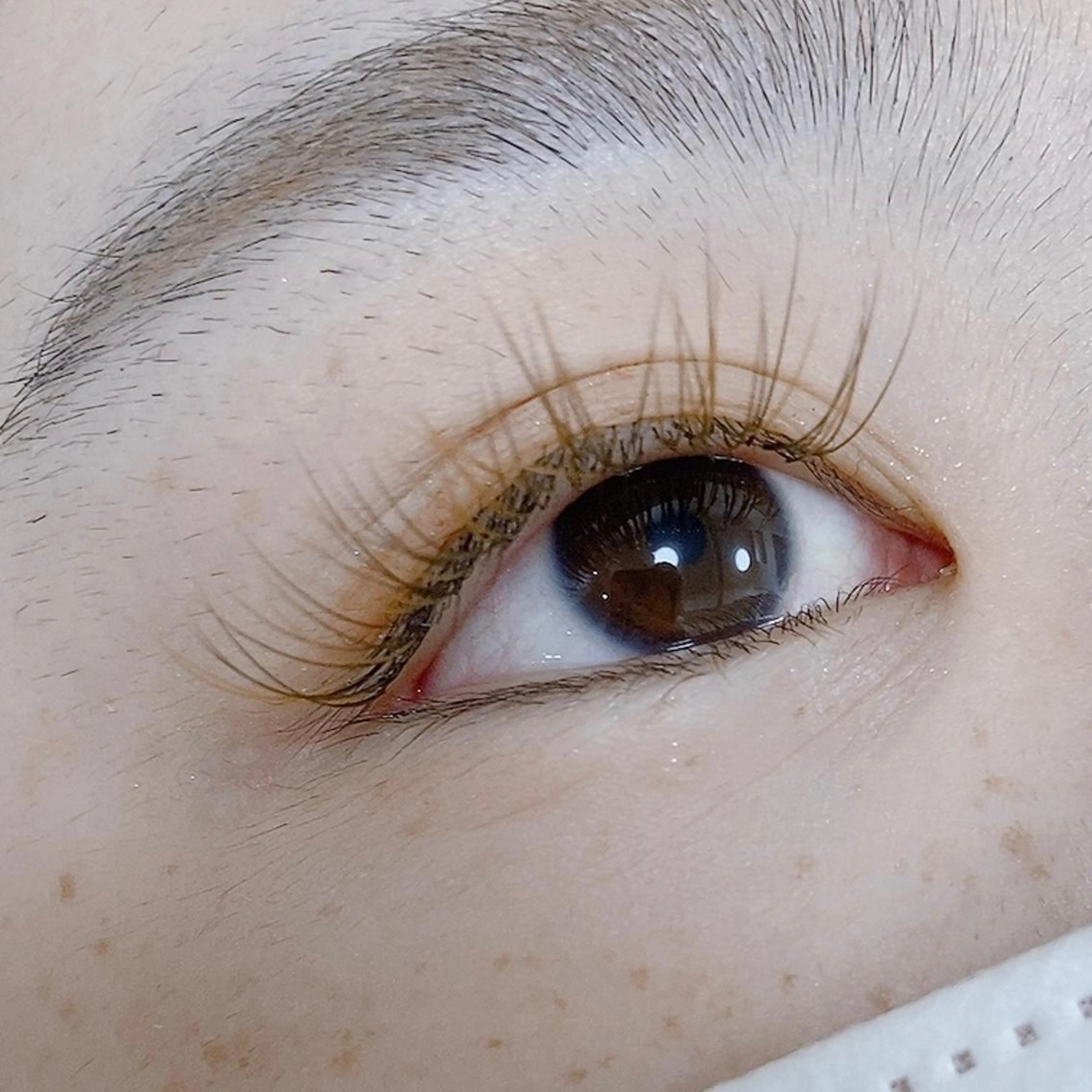 マツエク・マツパ Cカール カラーマツエク ナチュラル ✧elpatio✧︎ 小出紗羅のマツエク・マツパデザイン