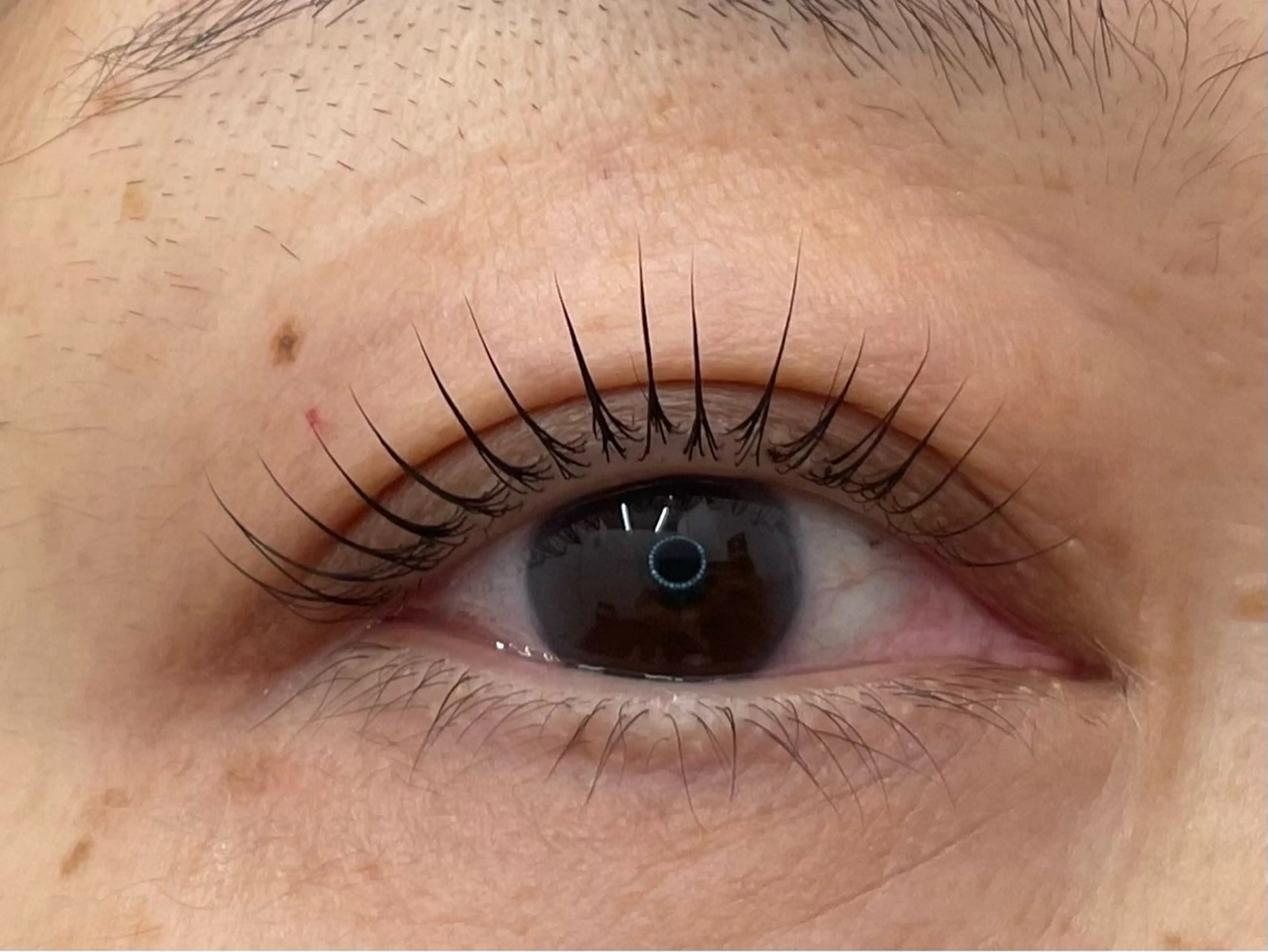 マツエク・マツパ Lukia MOMOのマツエク・マツパデザイン