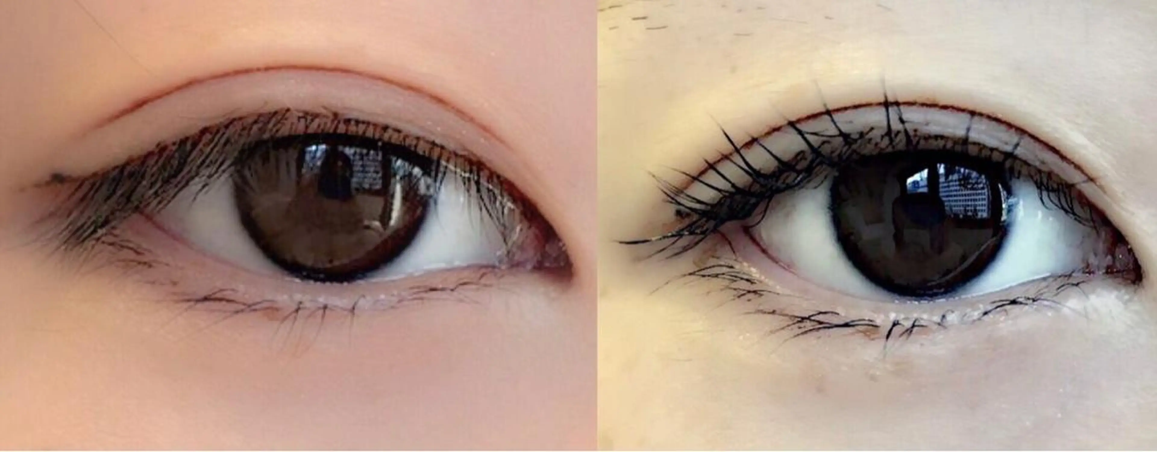 マツエク・マツパ マツパ Royal eyelashのマツエク・マツパデザイン