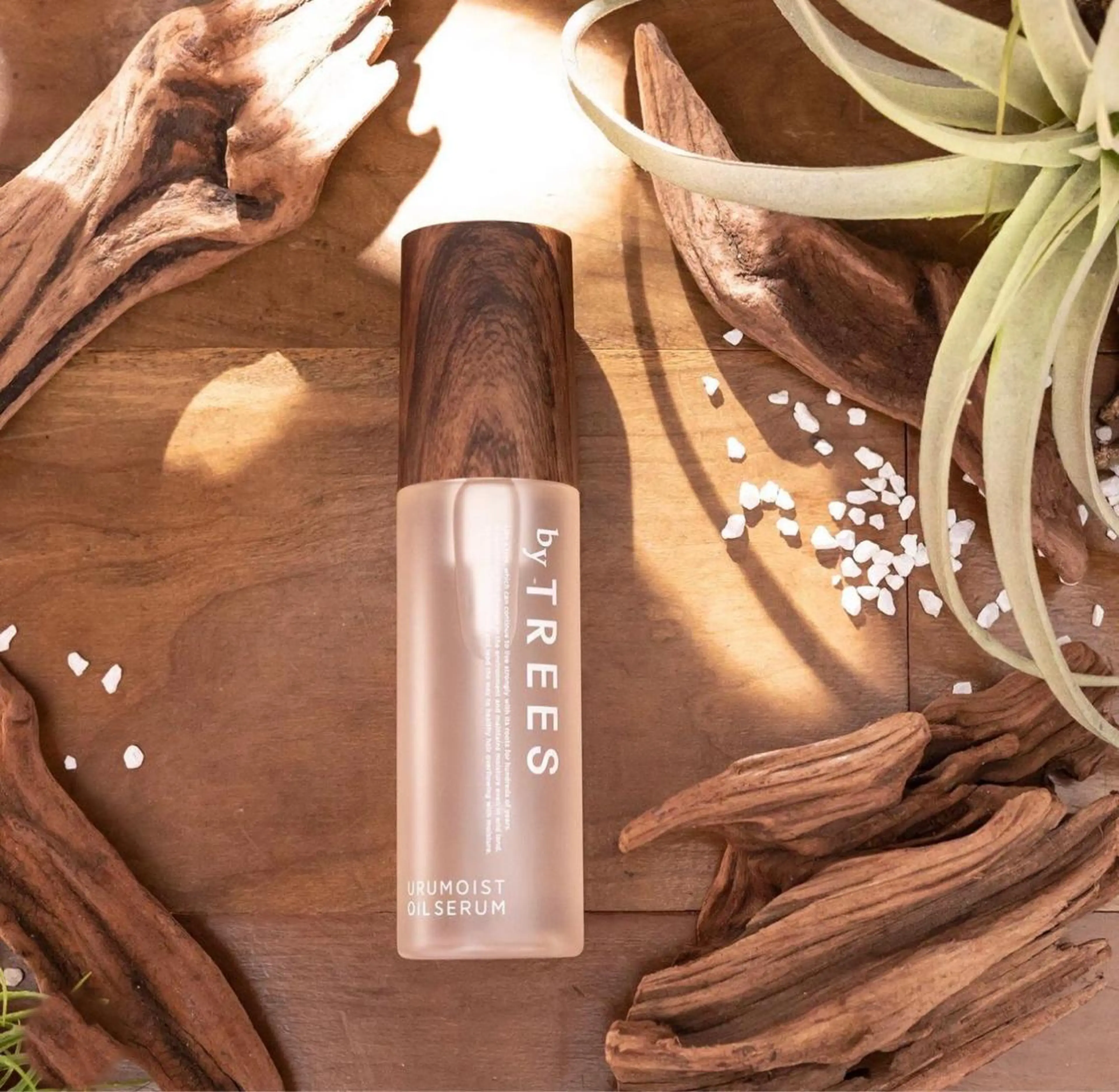 セミロング ヘアアレンジ 結婚式・ブライダル アッシュ 韓国風カラー ミルクティーブラウン ボブ 顔周り特化/韓国ヘア /レイヤー/吉野幸大のヘアスタイル