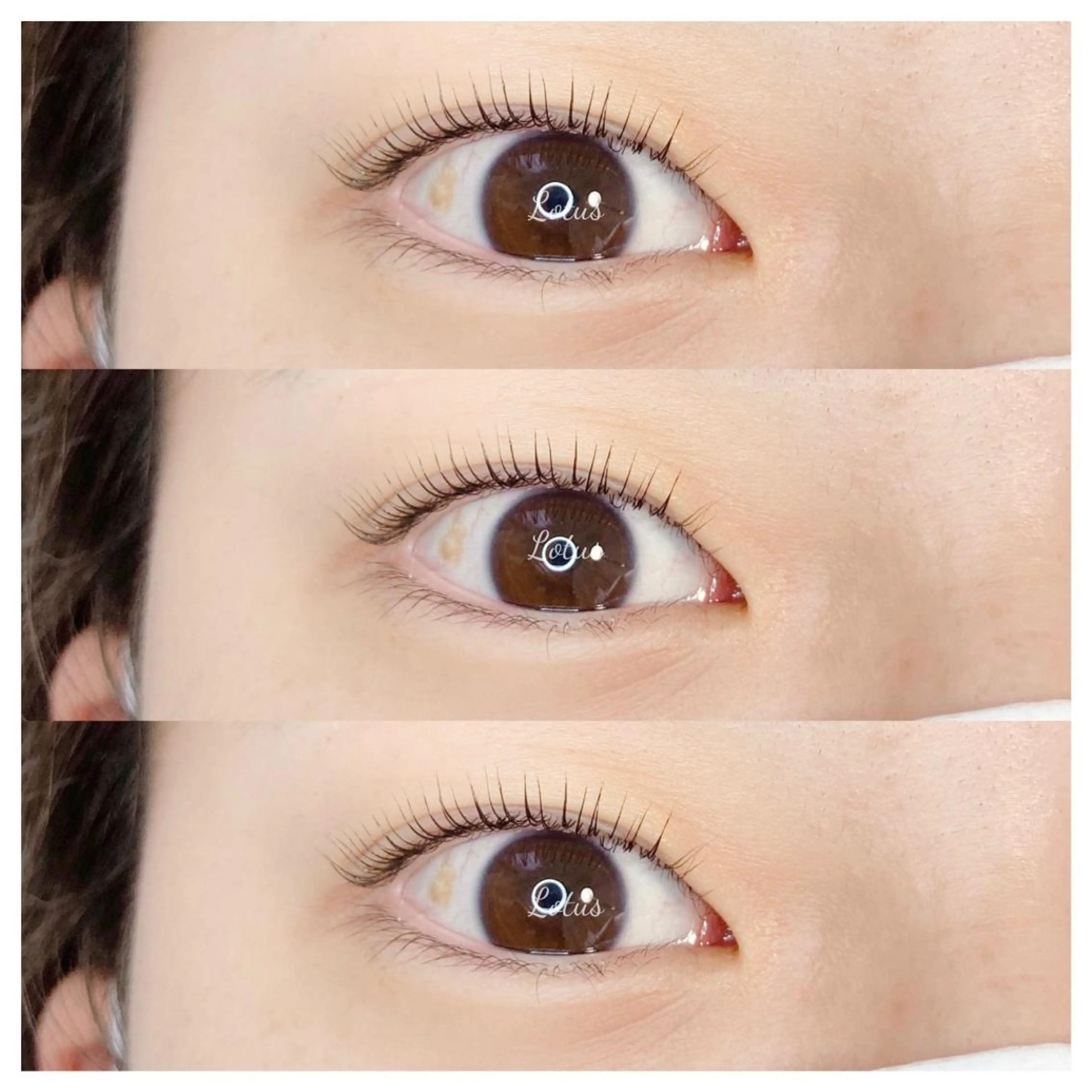 マツエク・マツパ マツパ Lotus所属・Lotus ロータスのマツエク・マツパデザイン