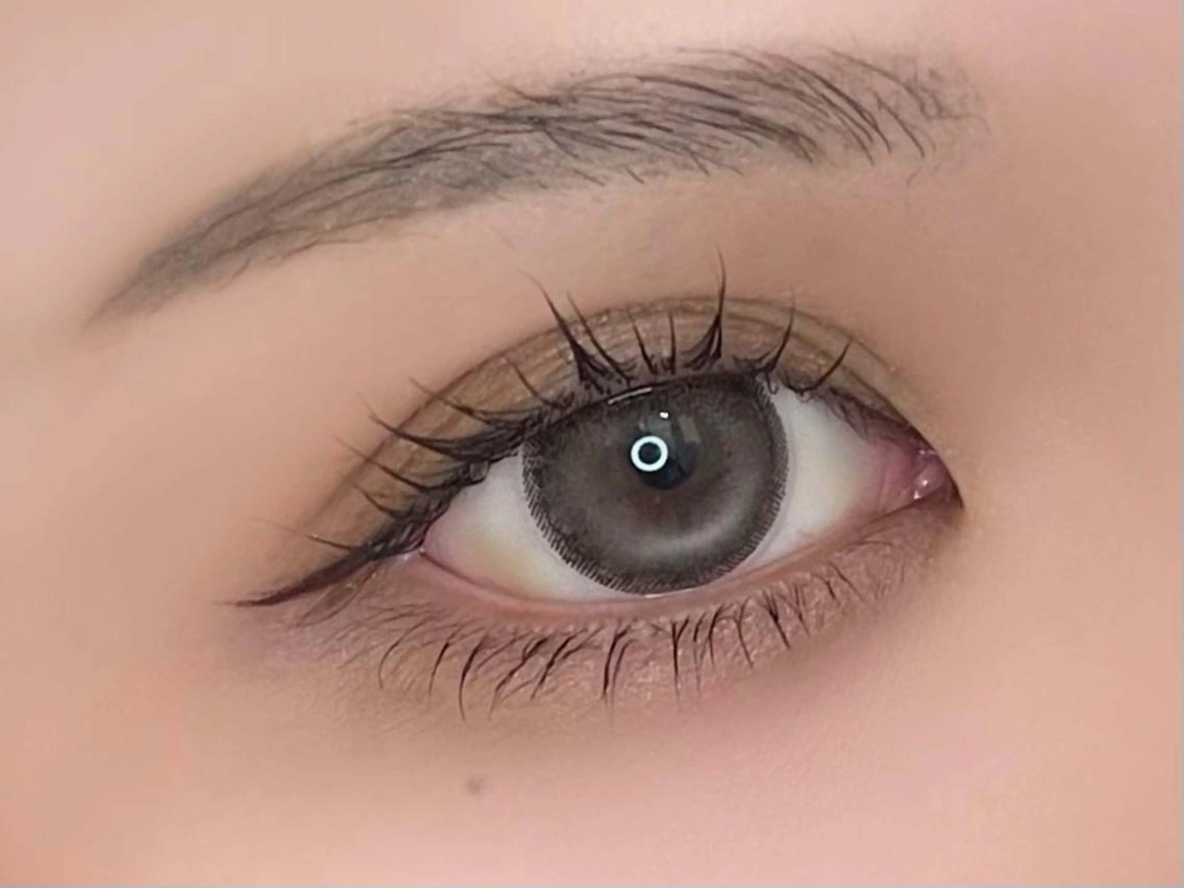 リピーター様必見❣️眉毛WAX+まつ毛パーマのお得なセットメニュー👍🏻✨︎´- メンズも可-`🙌🏻´-の写真