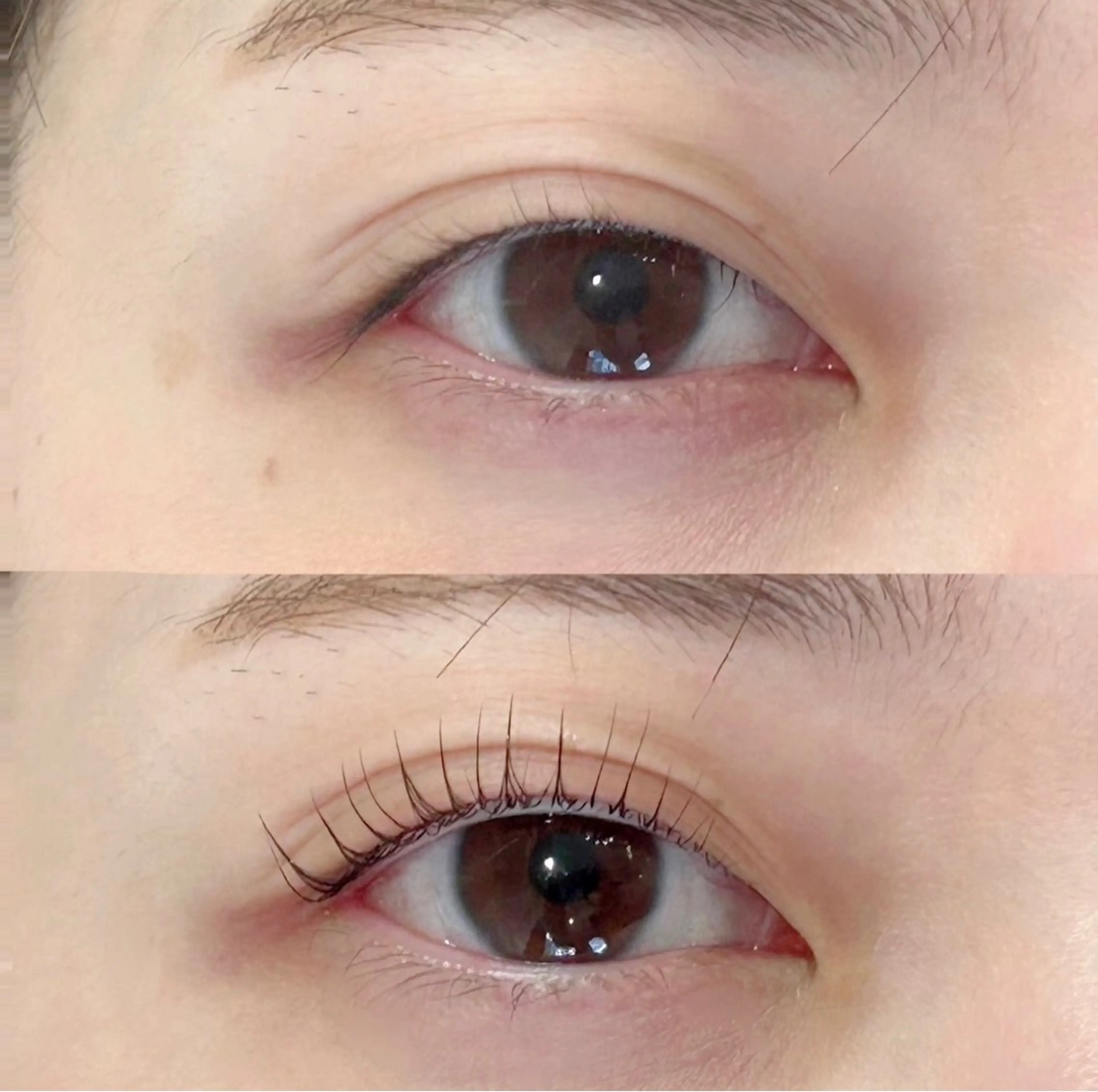 マツエク・マツパ マツパ Frances Miyamotoのマツエク・マツパデザイン