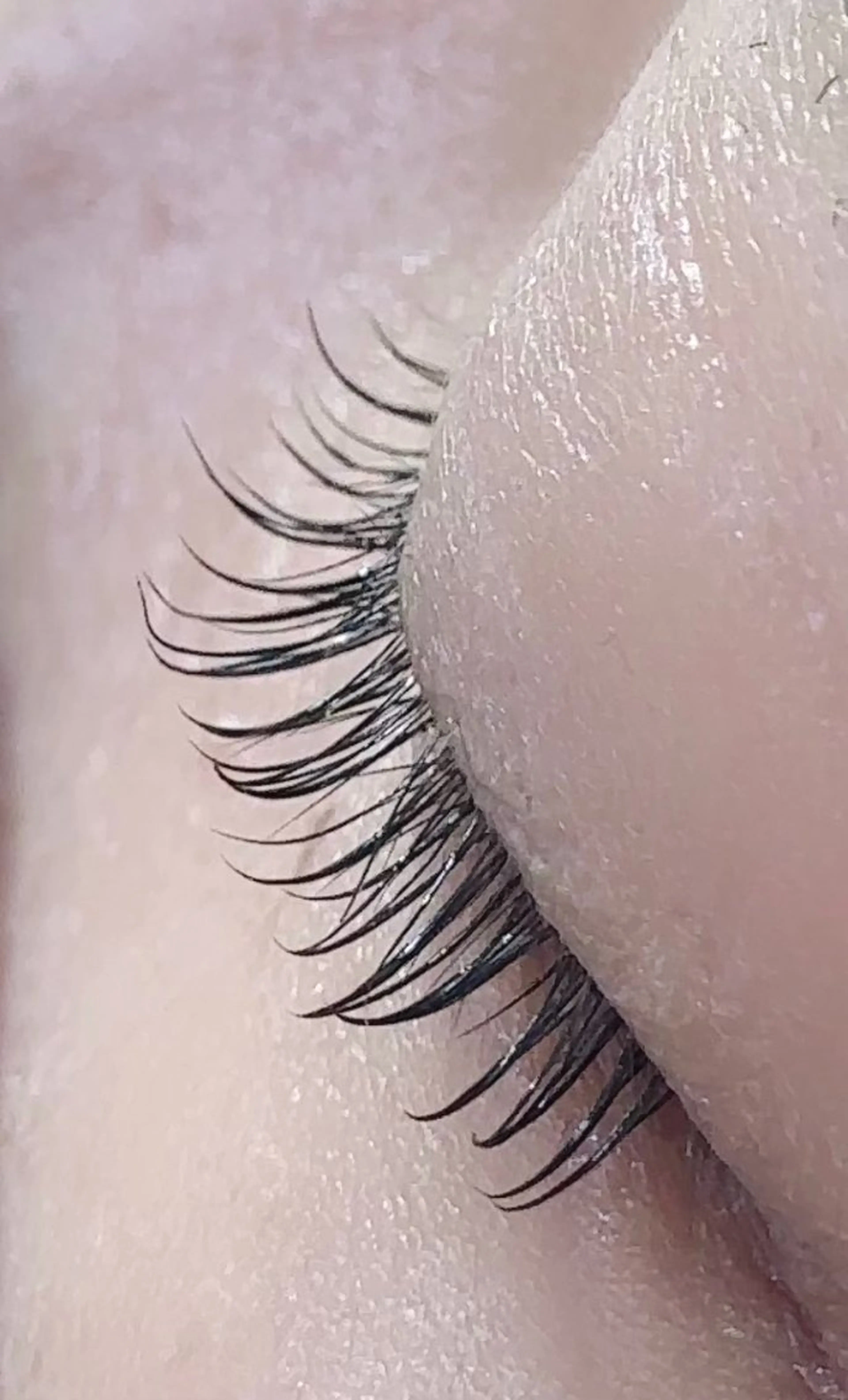 マツエク・マツパ arms lash 安藤のマツエク・マツパデザイン