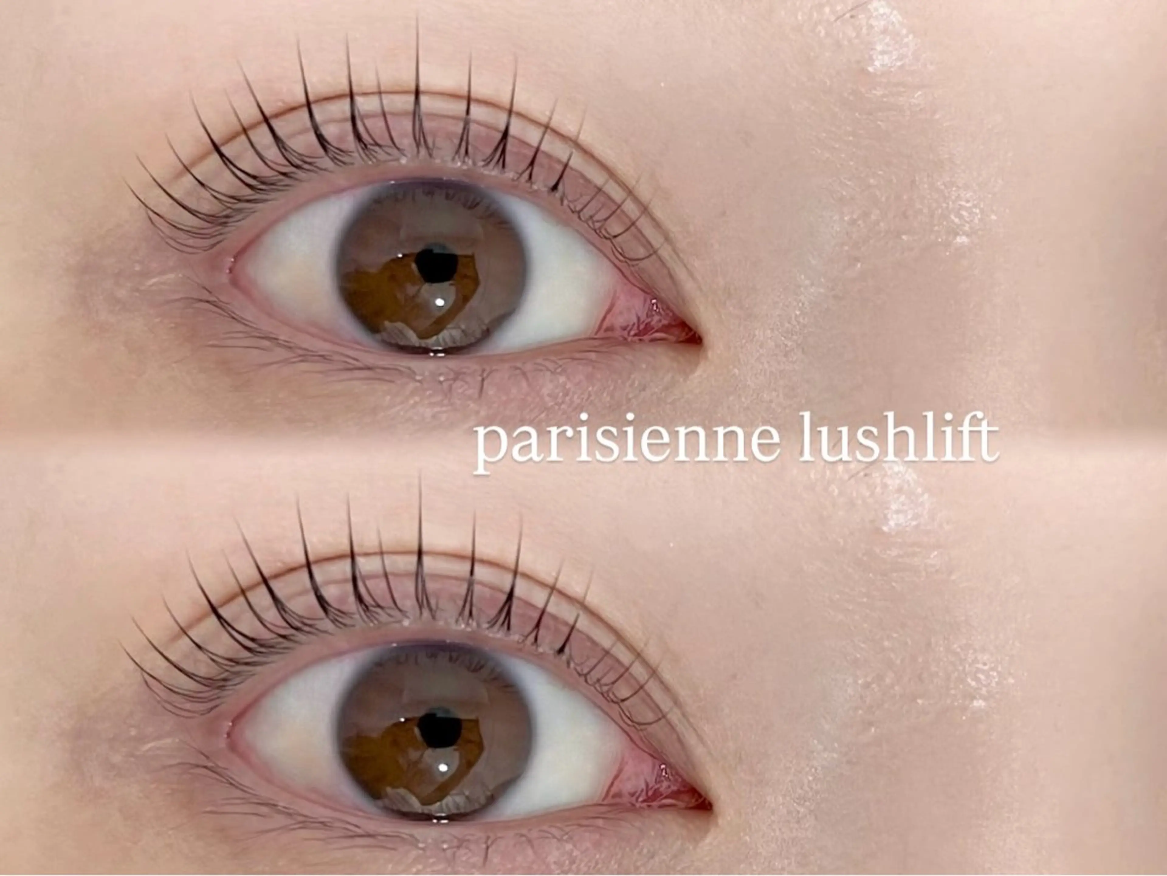 マツエク・マツパ iena渋谷 【練習モデル募集】のマツエク・マツパデザイン