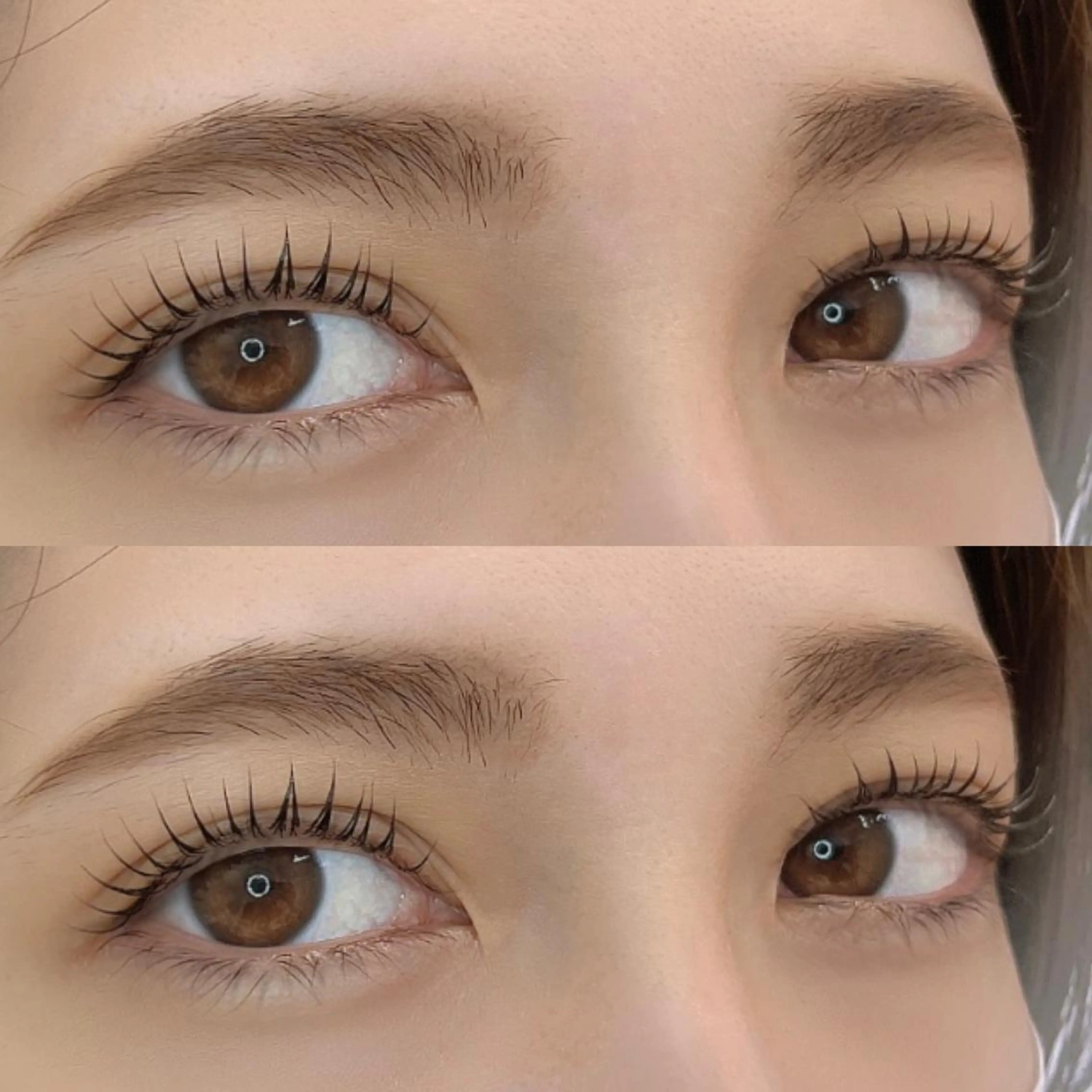 ご新規様限定♡パリジェンヌラッシュリフトorラッシュリフト※ケラチントリートメント付きの写真