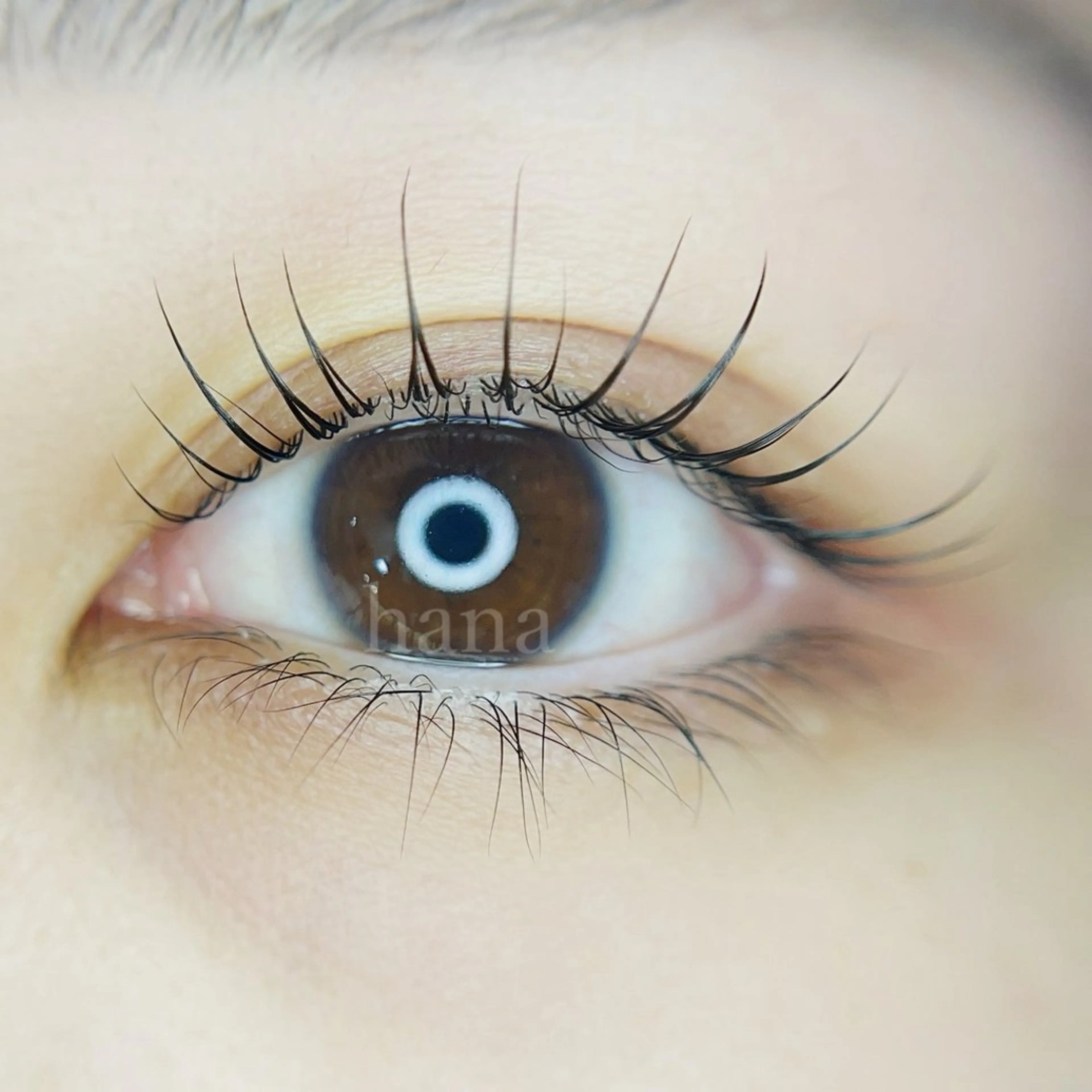 マツエク・マツパ 一重×まつ毛パーマ まつげ眉毛の 専門店hanaのマツエク・マツパデザイン