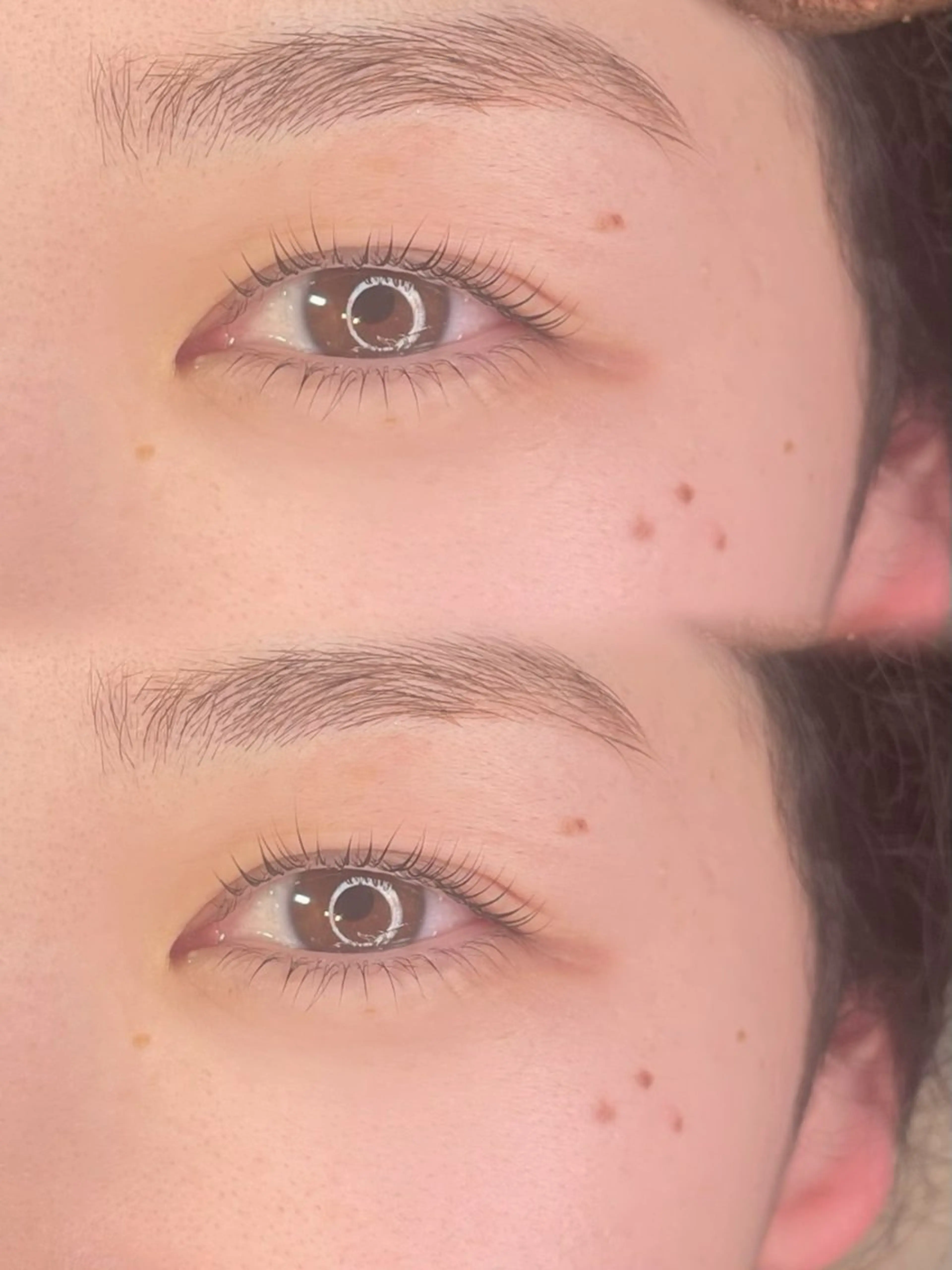 似合わせまつ毛パーマ上下（トレーニングモデル）の写真