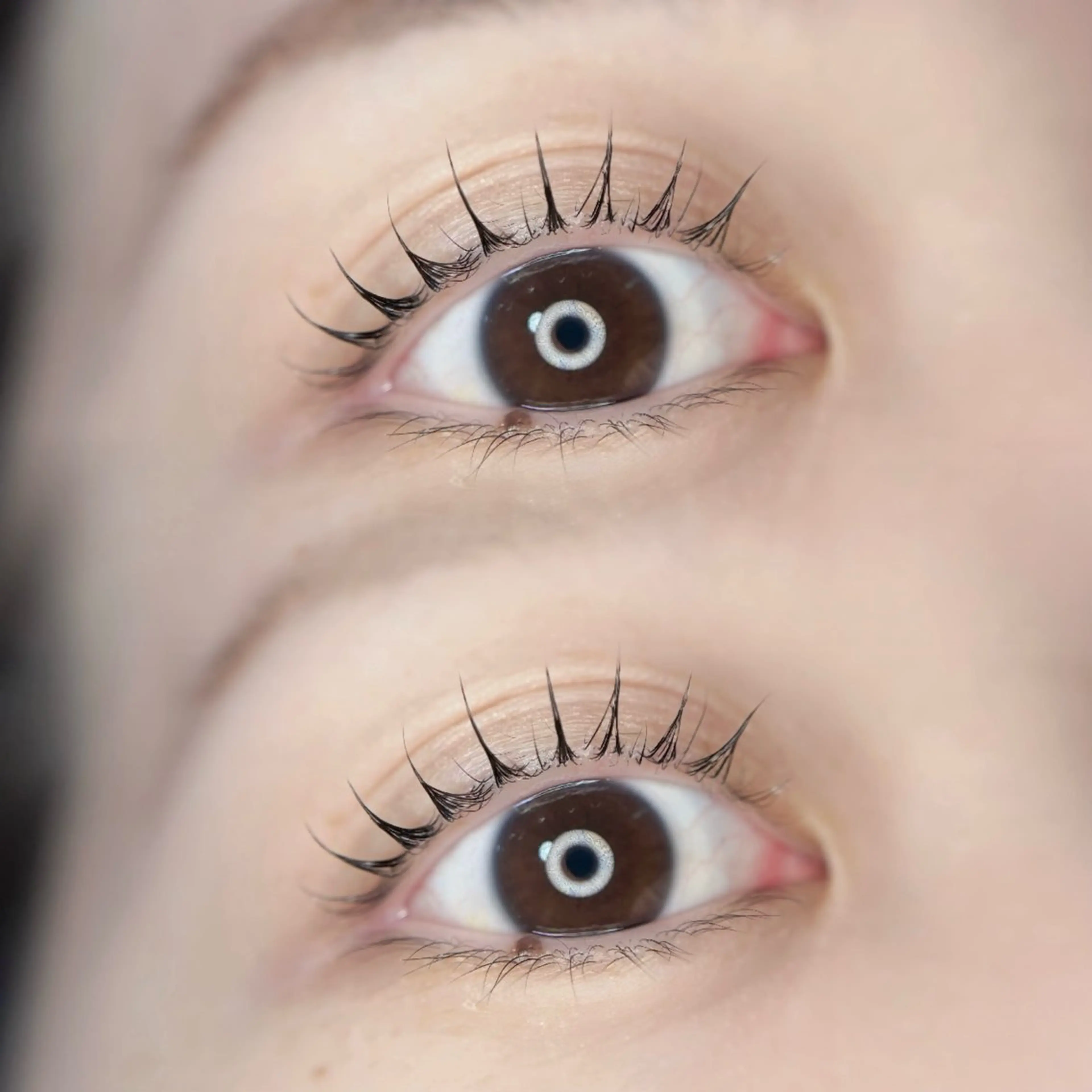 マツエク・マツパ パリジェンヌラッシュリフト まつげパーマ 一重×まつ毛パーマ マツパ 🦋MaaZlash 南流山FUKA🤍のマツエク・マツパデザイン