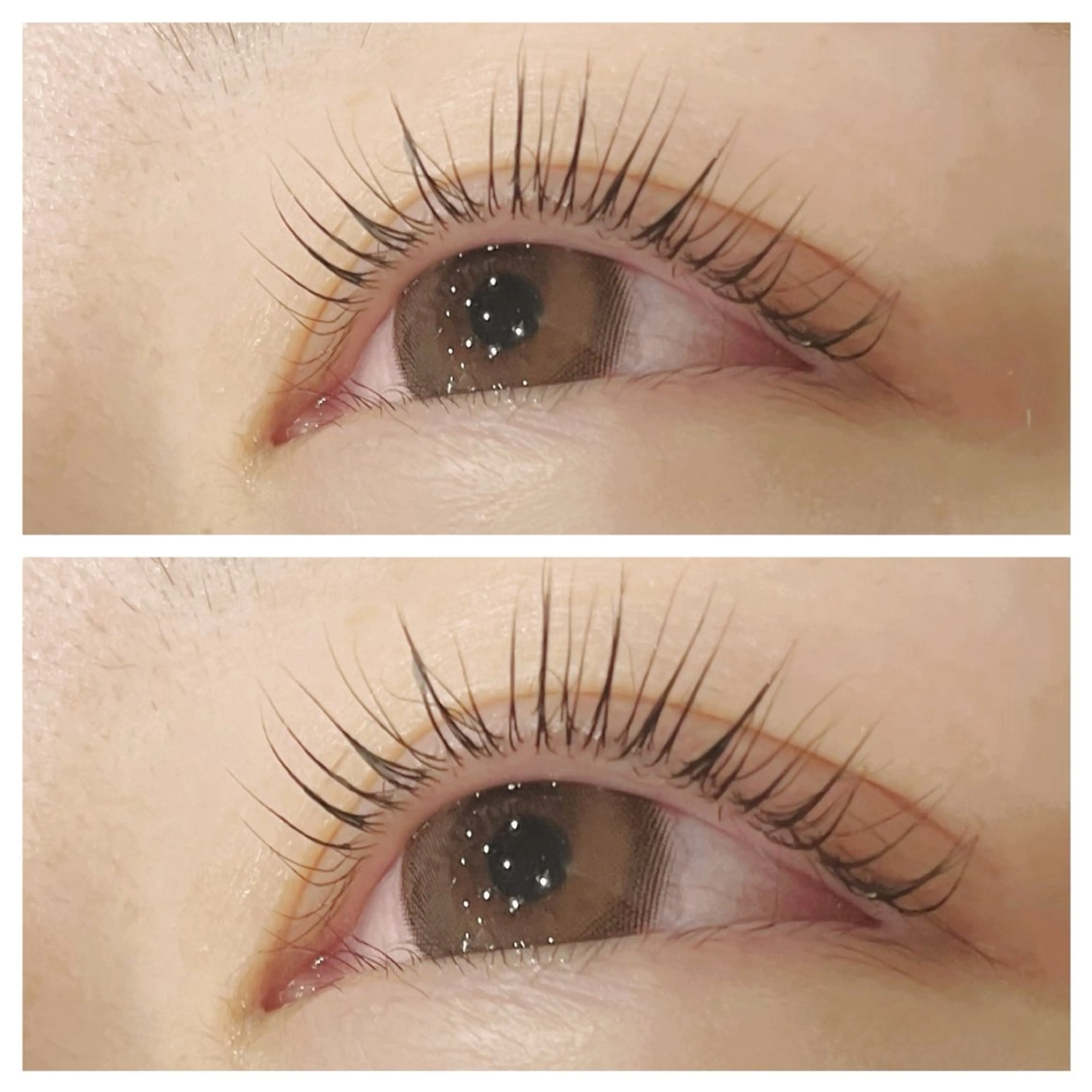 マツエク・マツパ パリジェンヌラッシュリフト COLOR. Hagiwaraのマツエク・マツパデザイン