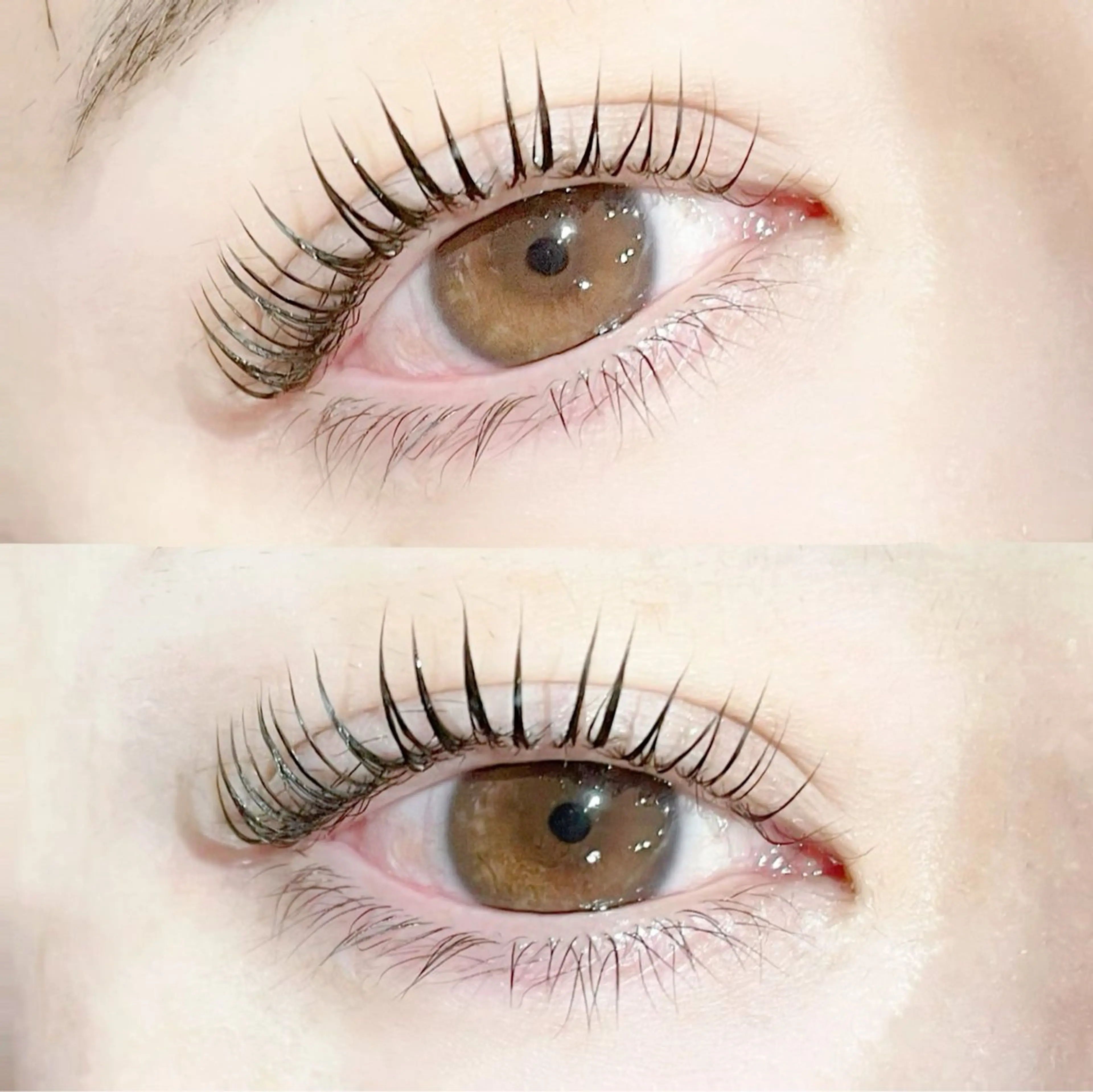 マツエク・マツパ アイリッチ 恵比寿店所属・eyerich 恵比寿店のマツエク・マツパデザイン