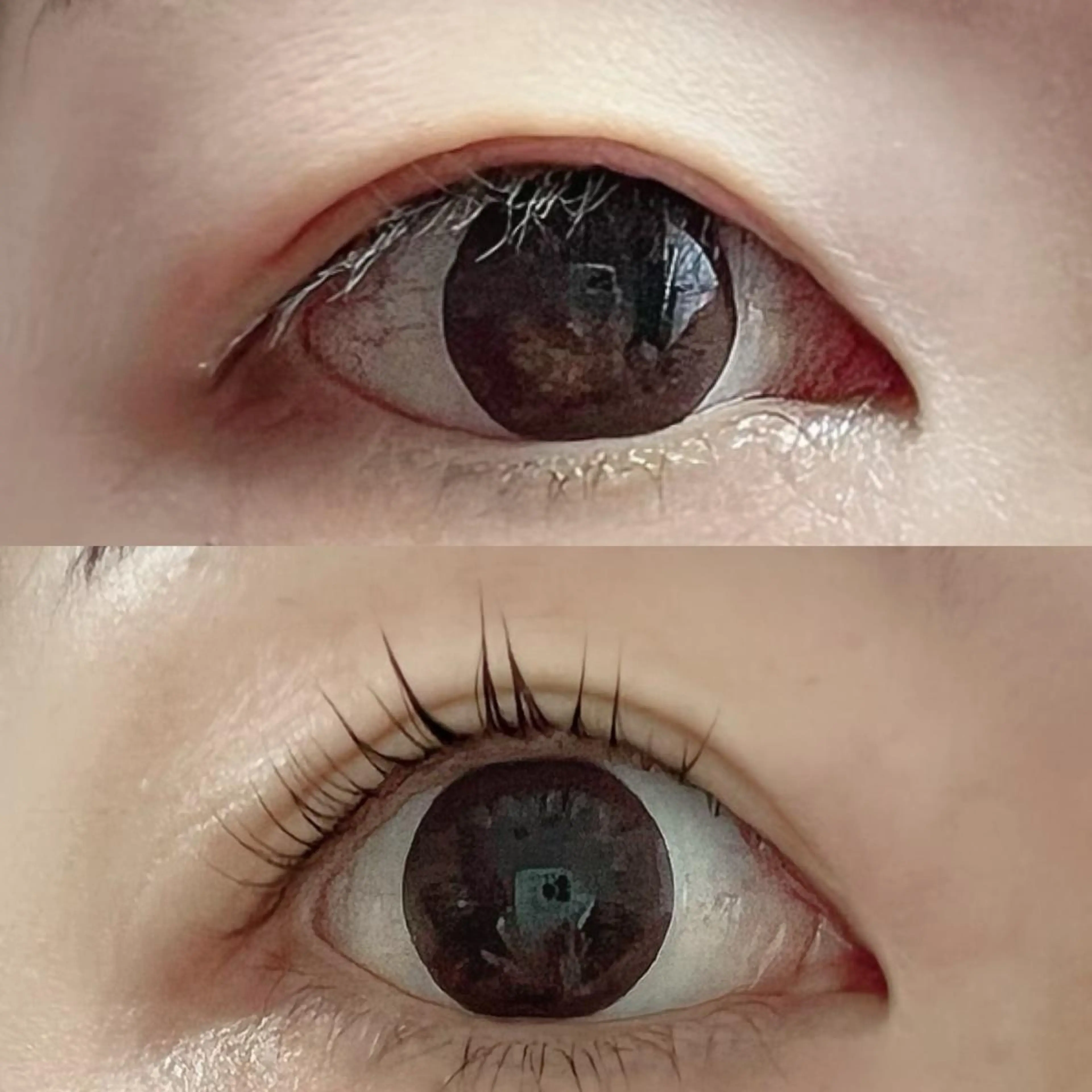 マツエク・マツパ パリジェンヌラッシュリフト chou chou シュシュのマツエク・マツパデザイン