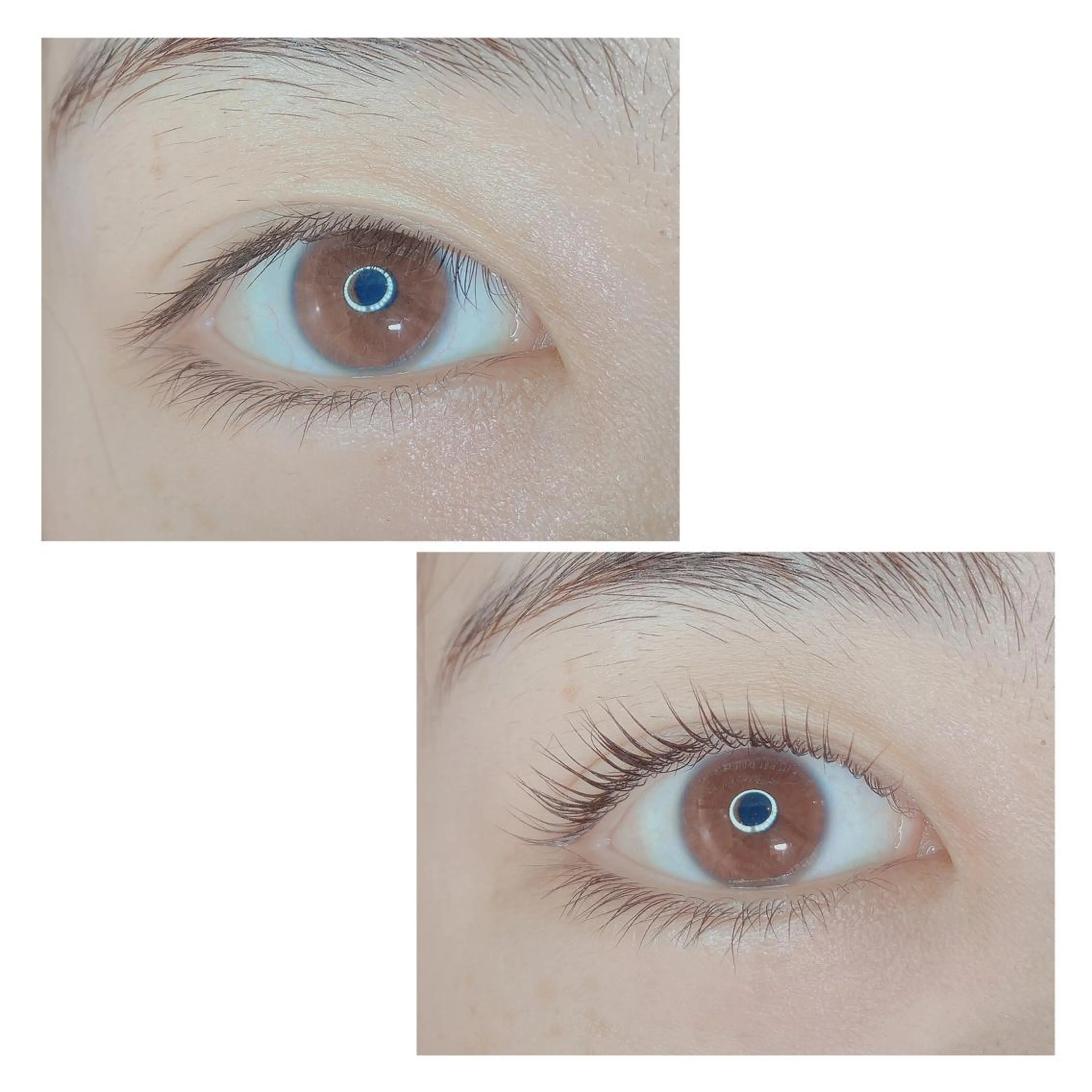 マツエク・マツパ TIARA池袋西口店 店長YASUKA💐のマツエク・マツパデザイン