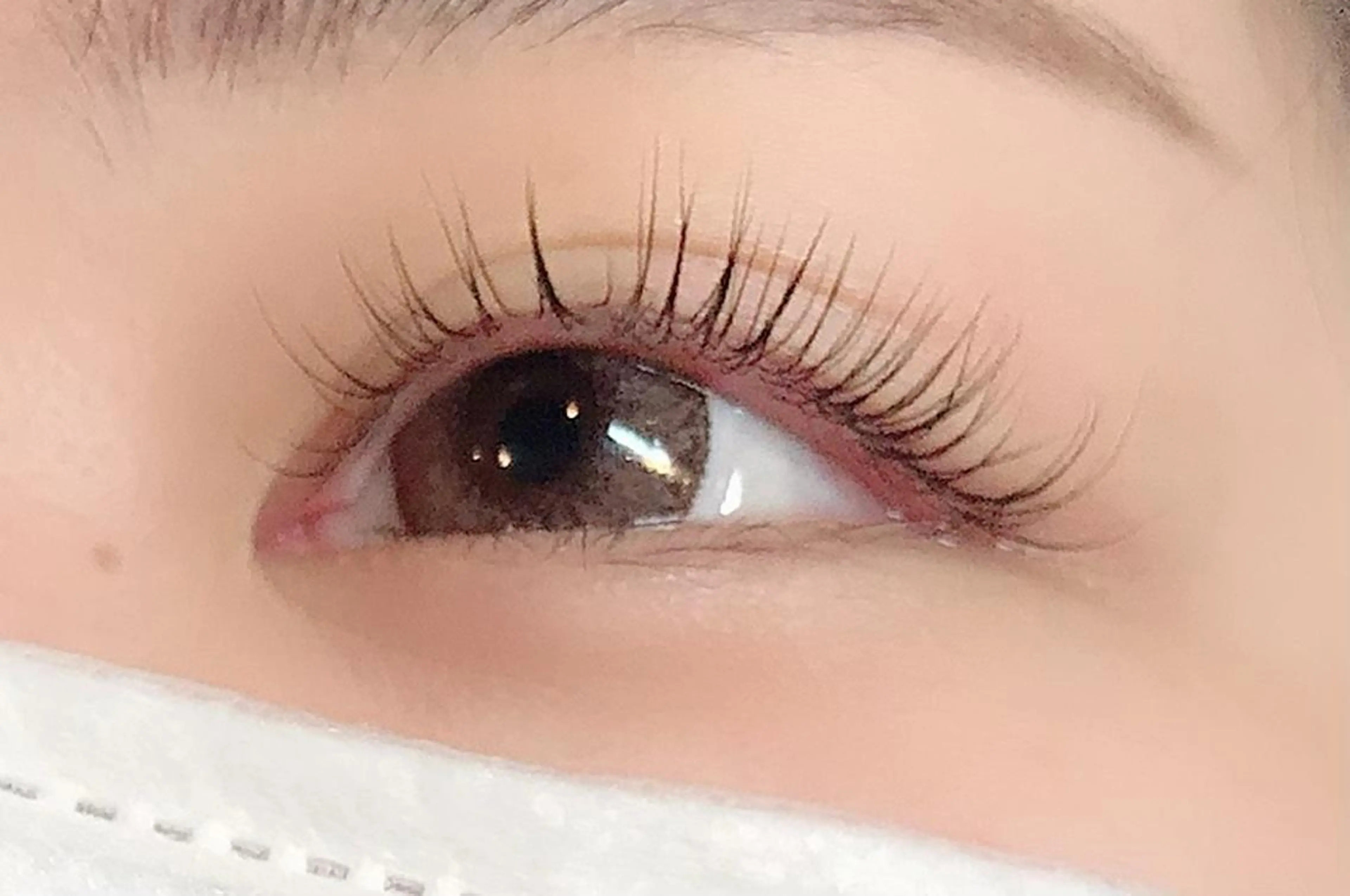 ボリュームラッシュ★《80束》￥5,000の写真