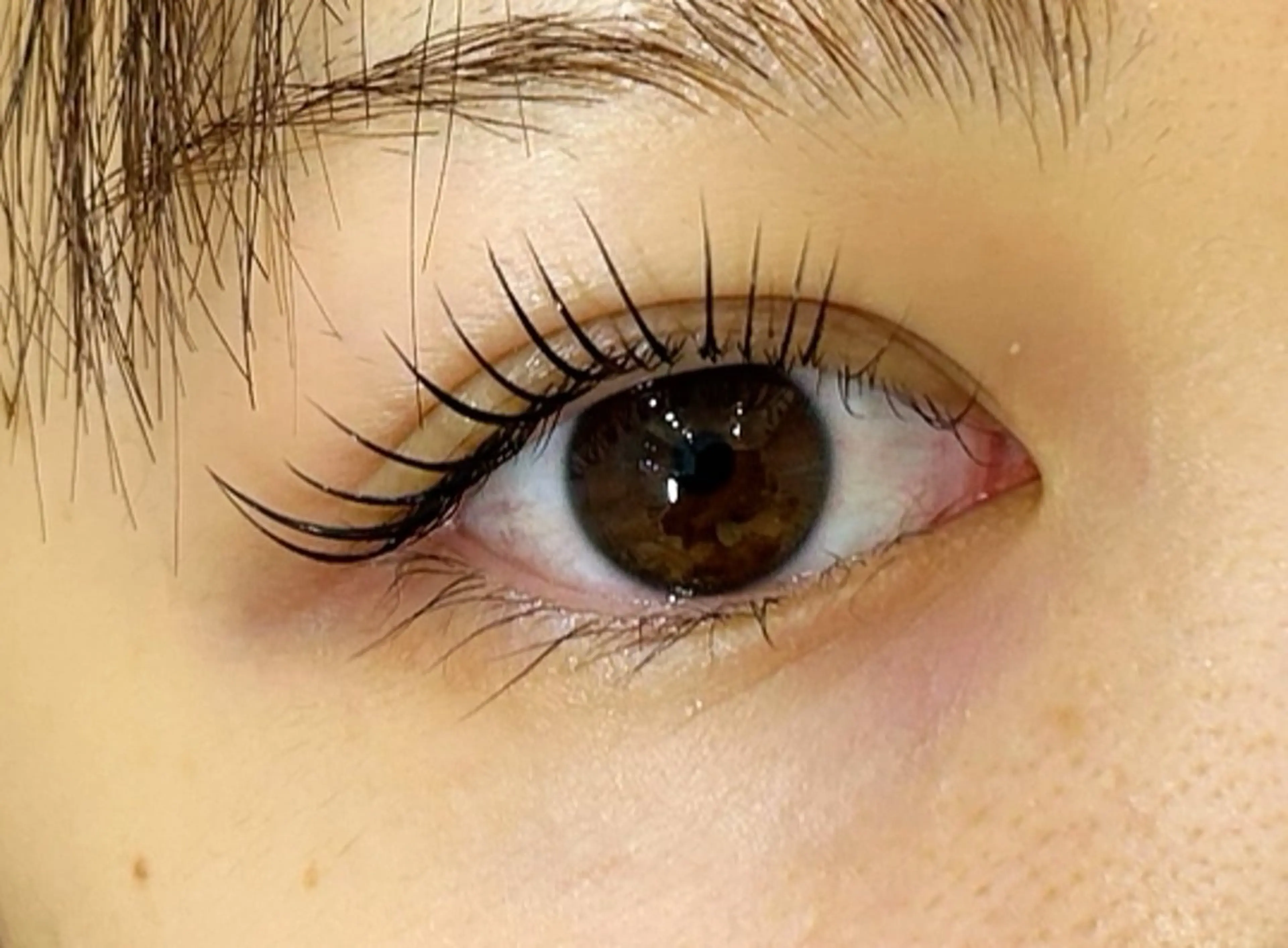 マツエク・マツパ まつげパーマ 上野 飛鳥のマツエク・マツパデザイン