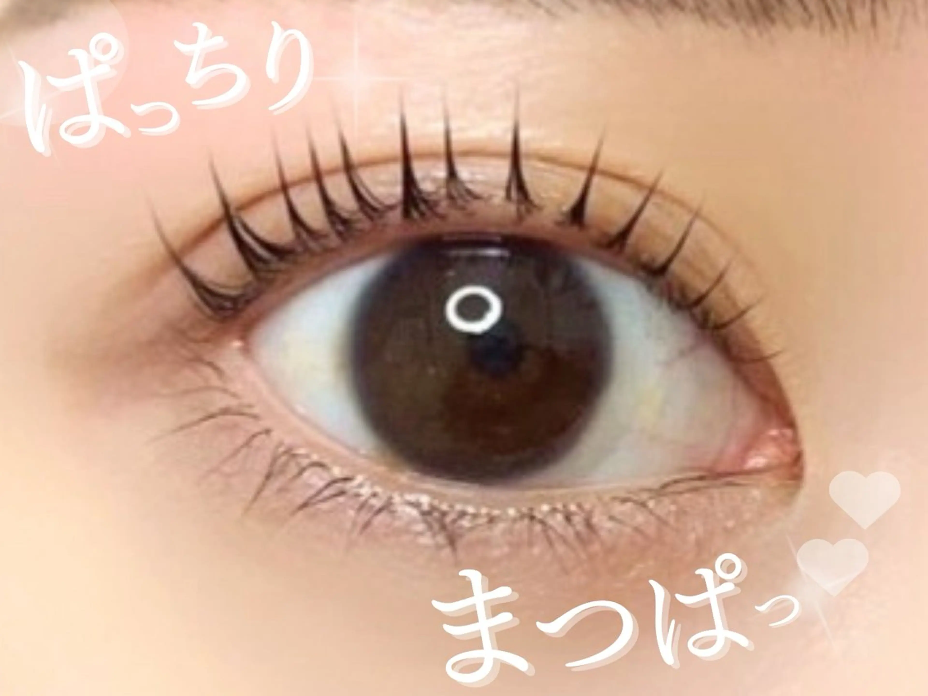 【先着3名限定‼️】ぱっちりな目元にまつ毛パーマ👀💞✨の写真