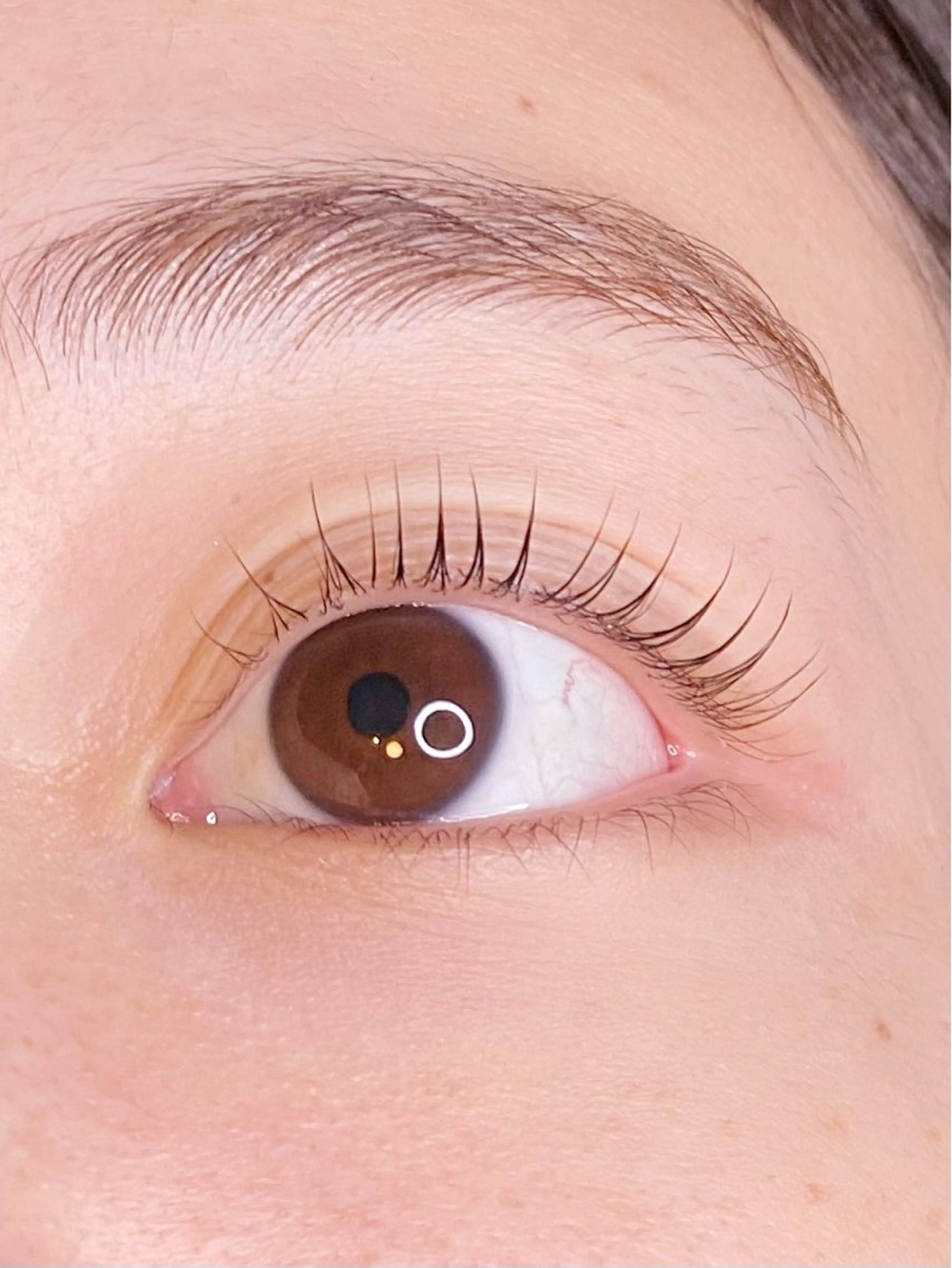 マツエク・マツパ 🍒Anela 神田ゆか🍒のマツエク・マツパデザイン