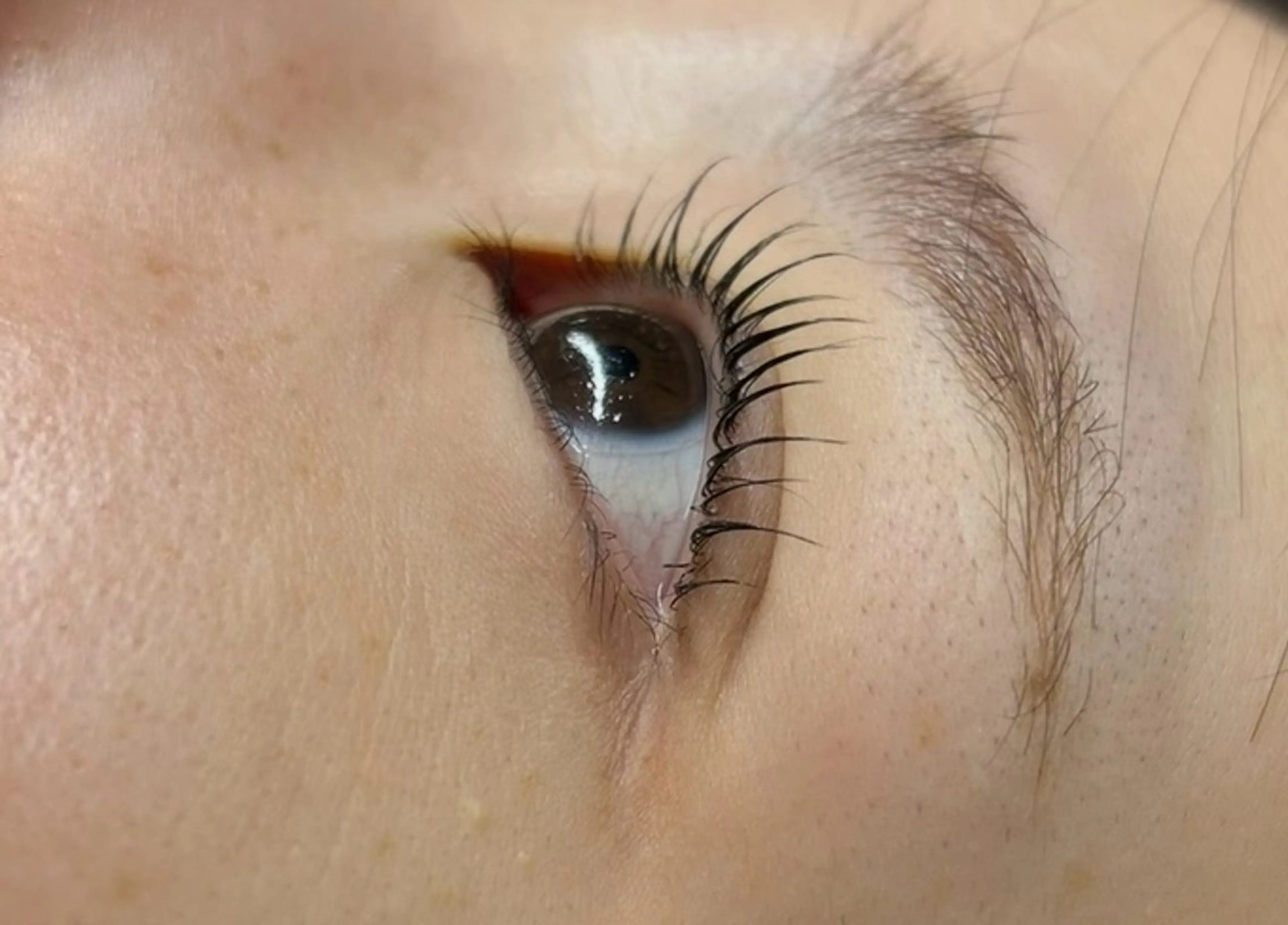 マツエク・マツパ アイブロウ& まつ毛パーマ🫧🪄のマツエク・マツパデザイン