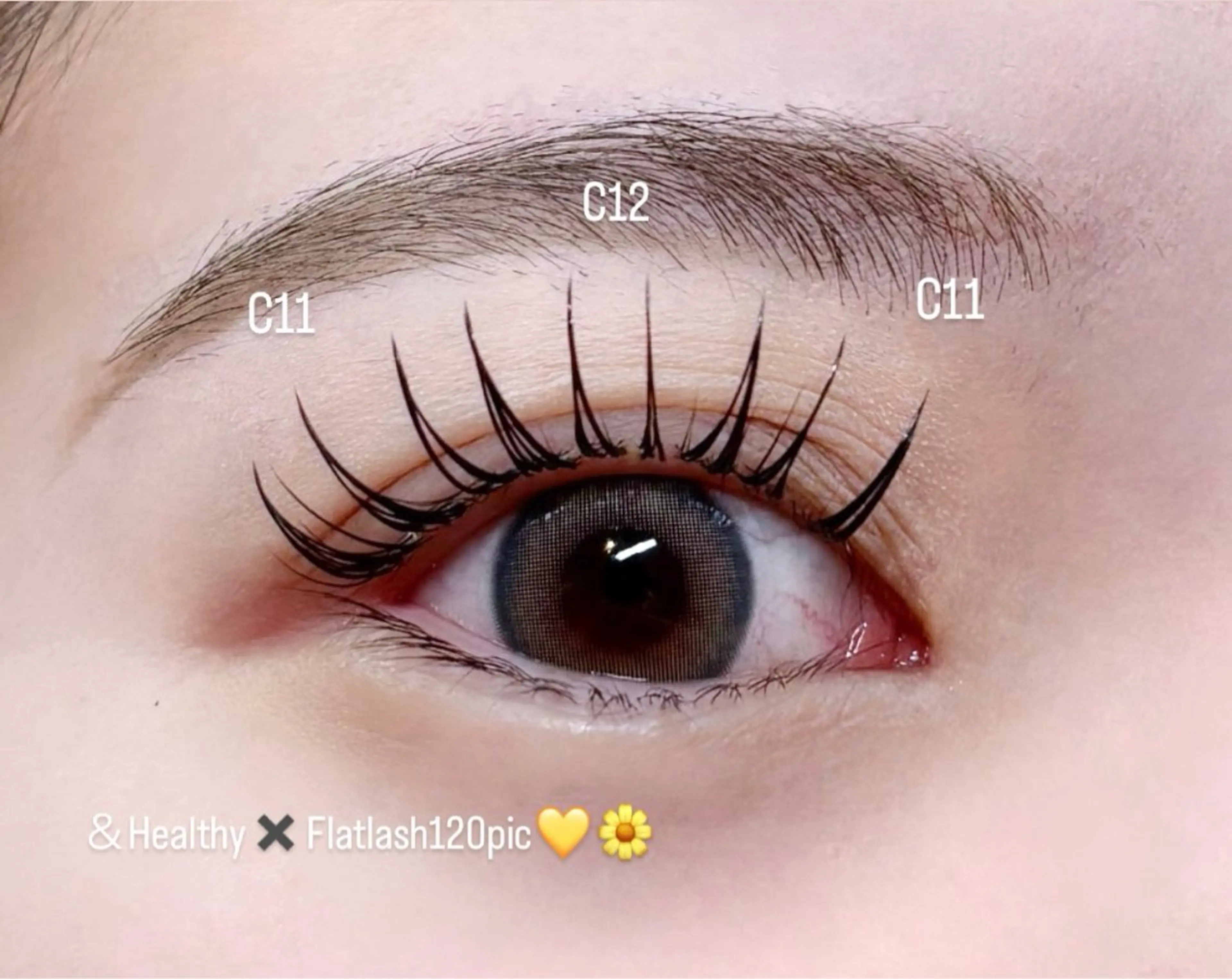 最新パリエク✨️アンドヘルシー120本🪄︎︎💕オフ➕￥500の写真