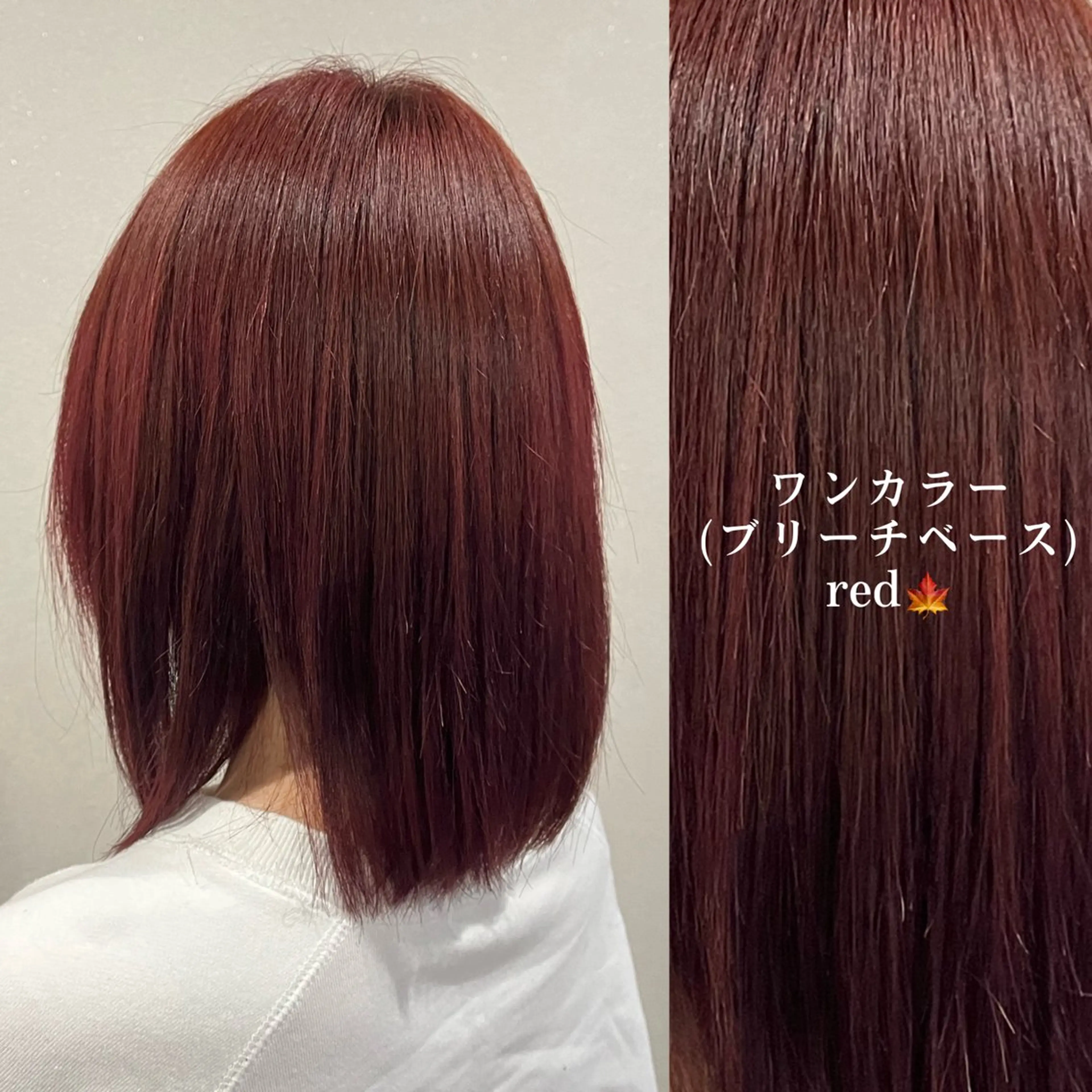 カラー 🌺c.key /スタイリスト/内多のヘアスタイル