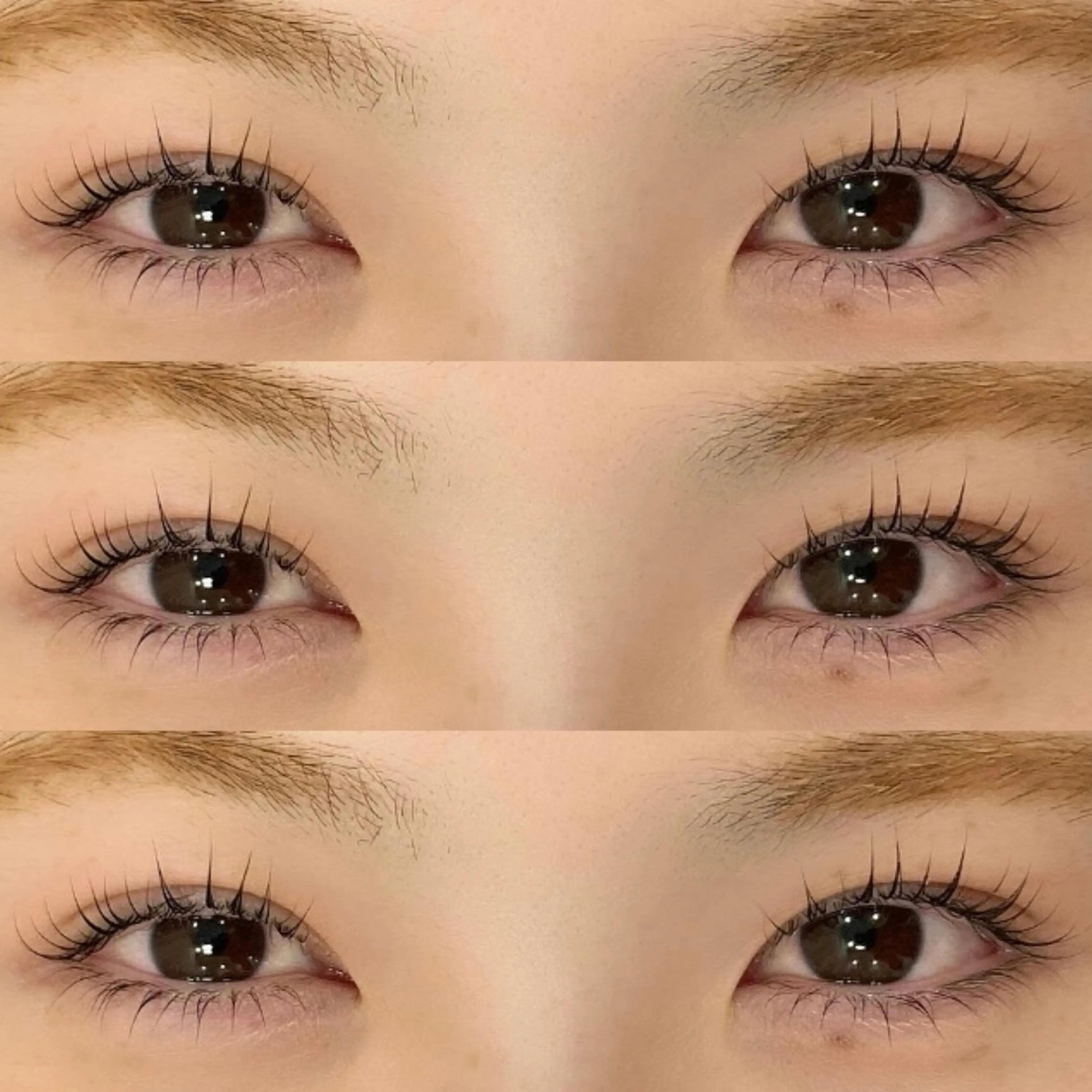 マツエク・マツパ マツパ orihara𐙚 まつげパーマ/眉毛のマツエク・マツパデザイン