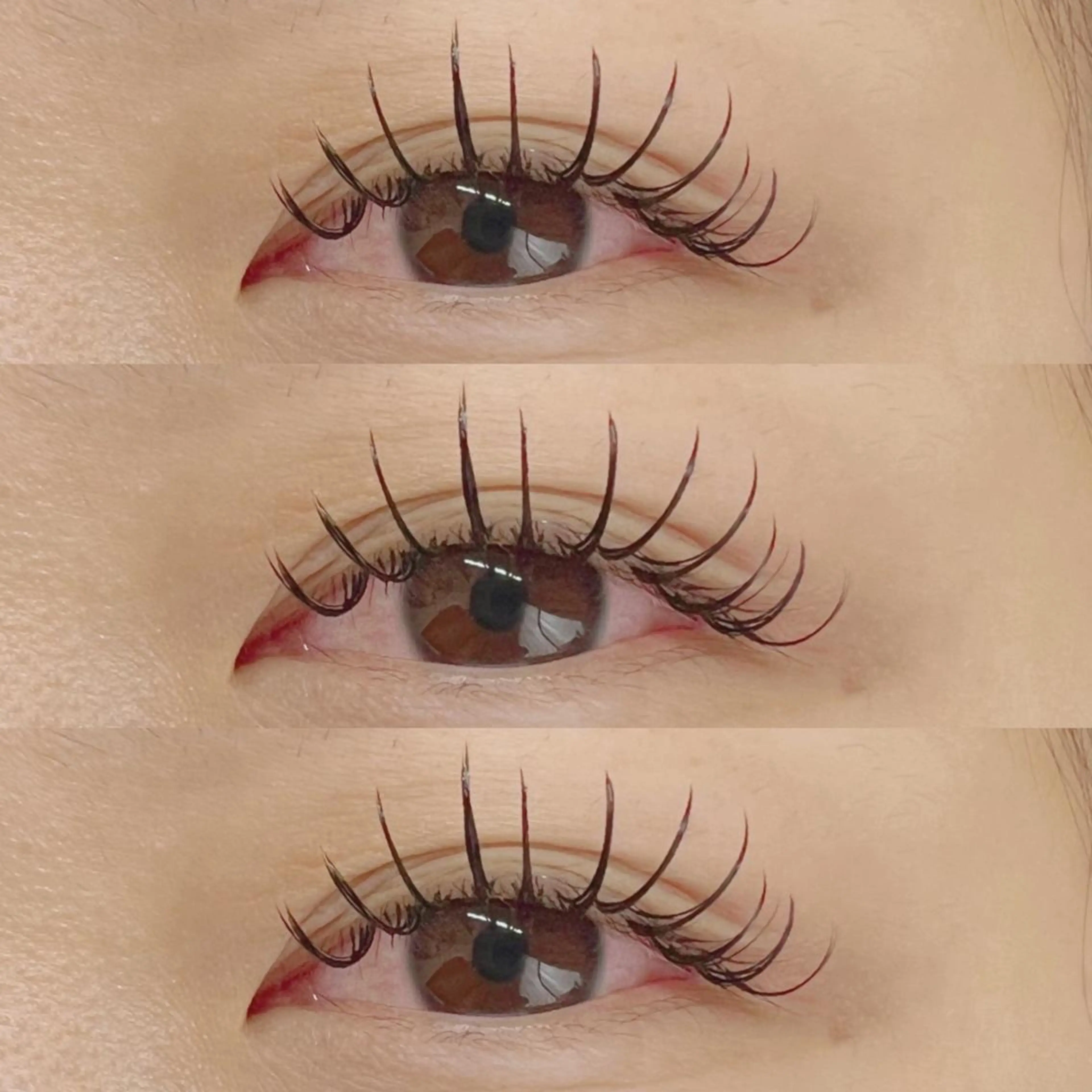 マツエク・マツパ フラットラッシュ マツエク Baby step.uのマツエク・マツパデザイン