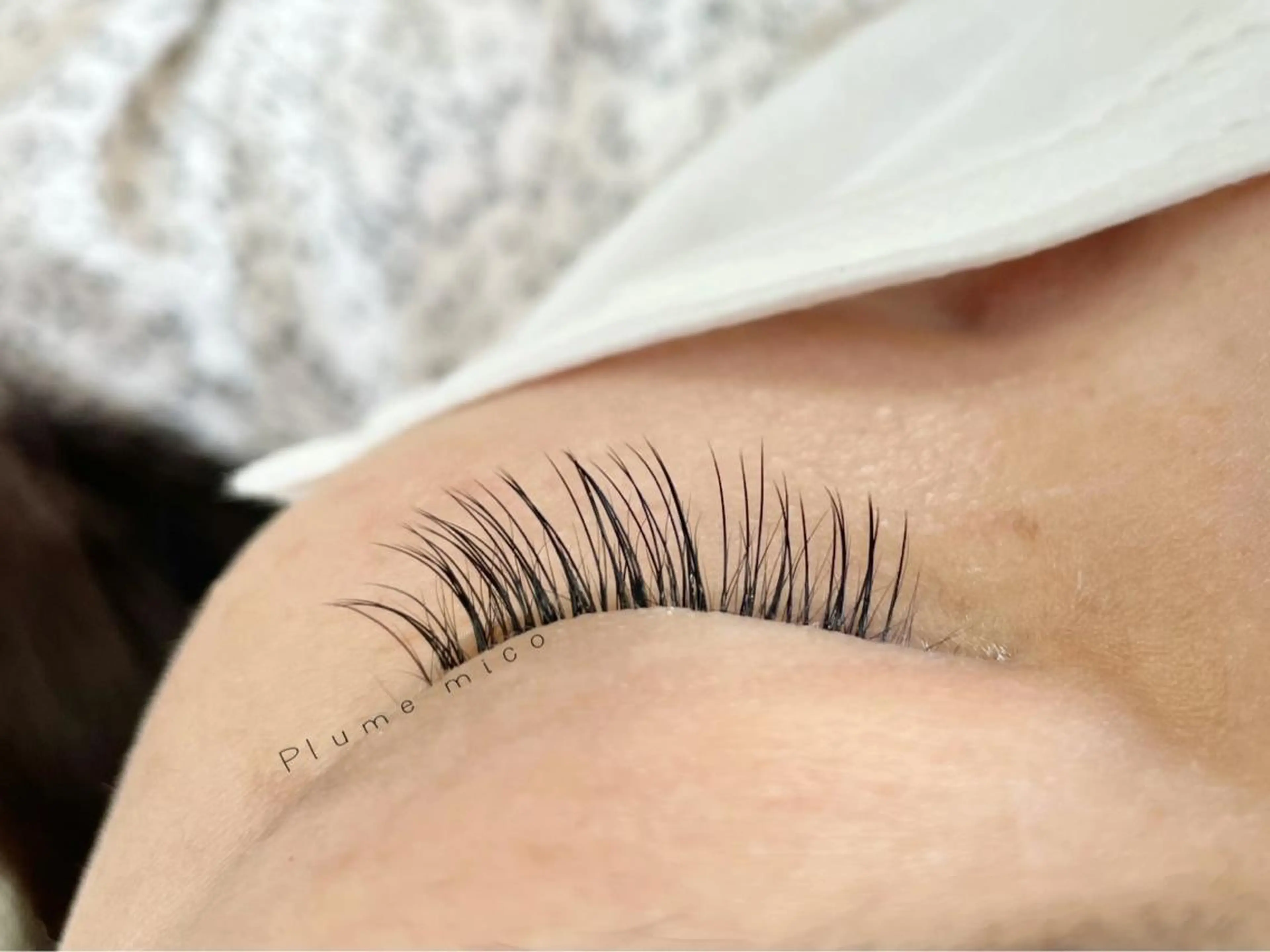 マツエク・マツパ マツエク Plume micoのマツエク・マツパデザイン