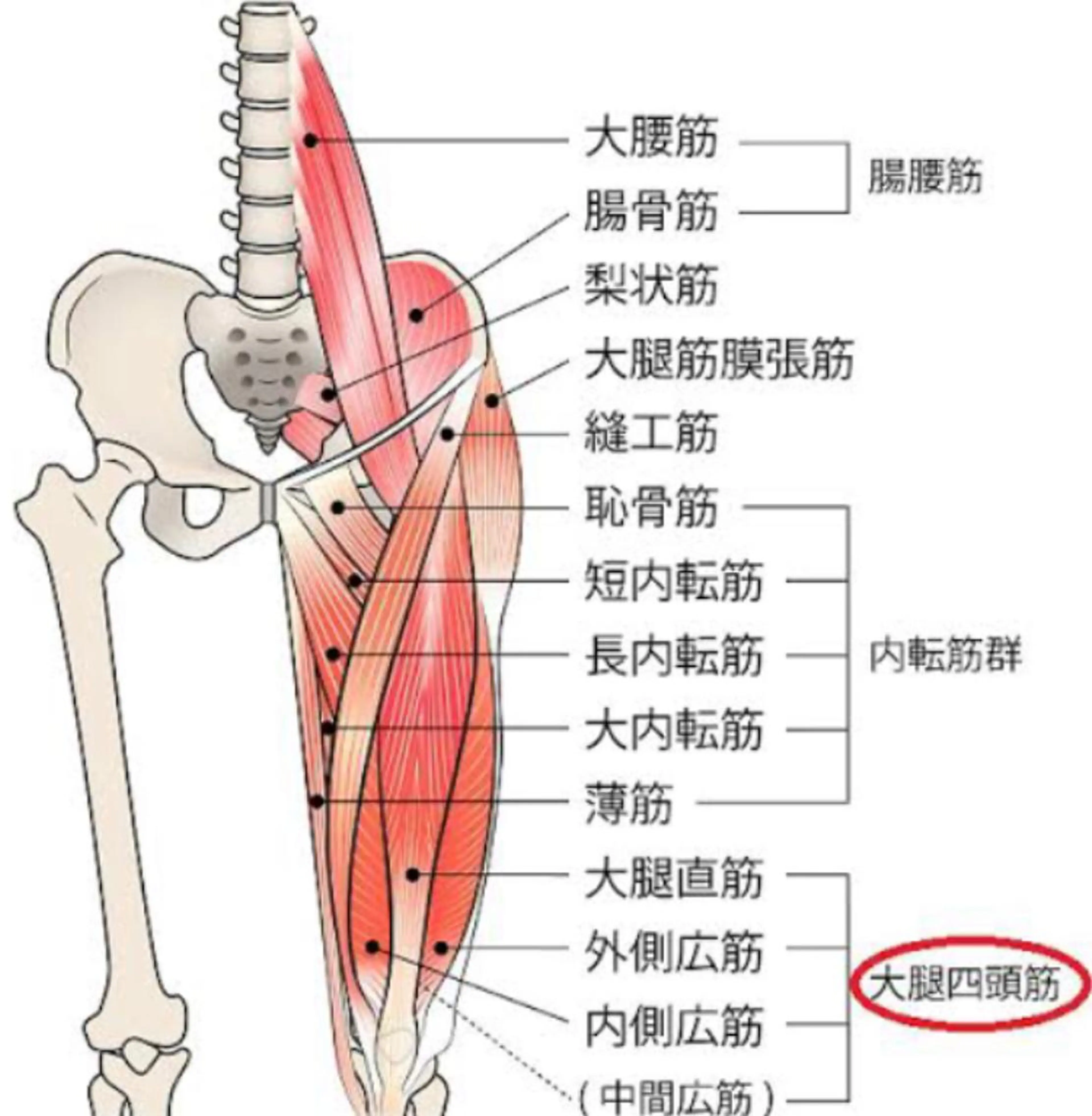 【肩こり】【腰痛】癒しのボディメンテサロンBMS金沢所属・野村 千代美のエステ・リラクイメージ
