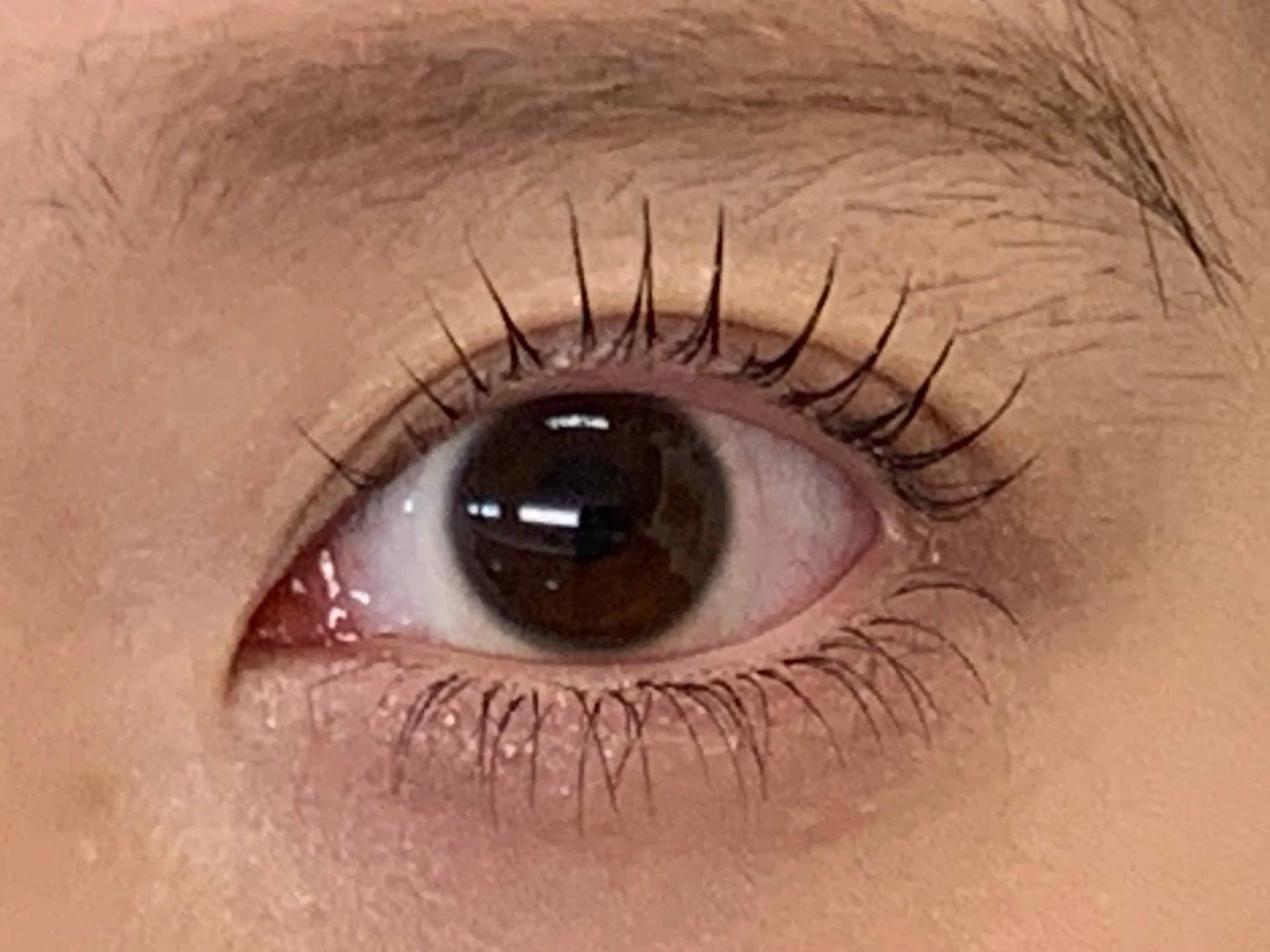 マツエク・マツパ 下まつげエクステ 一重×まつ毛パーマ Lil by Fan. 菊池のマツエク・マツパデザイン