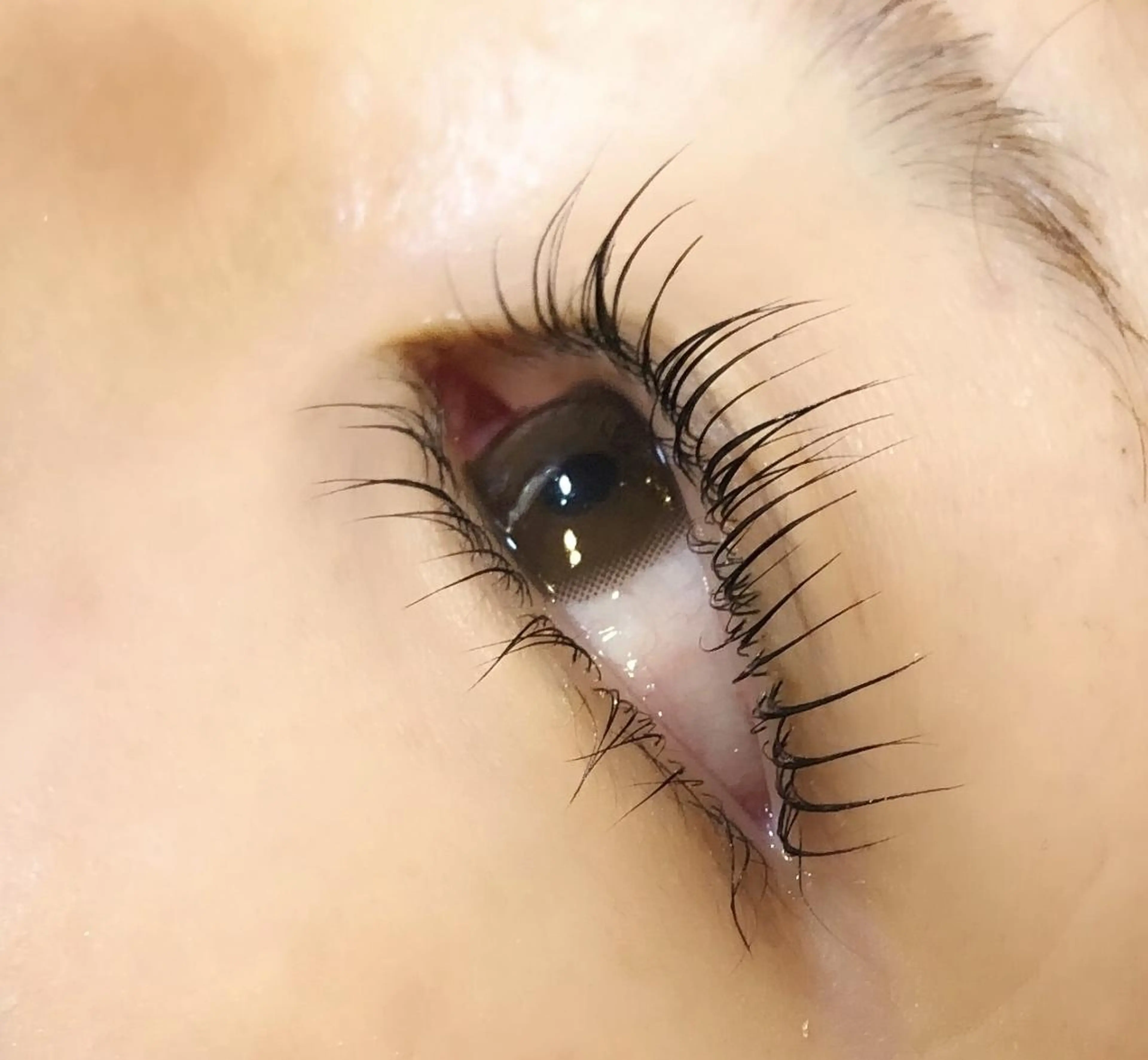 練習モデル上パーマ⚠️予約詳細を必ずお読みくださいの写真