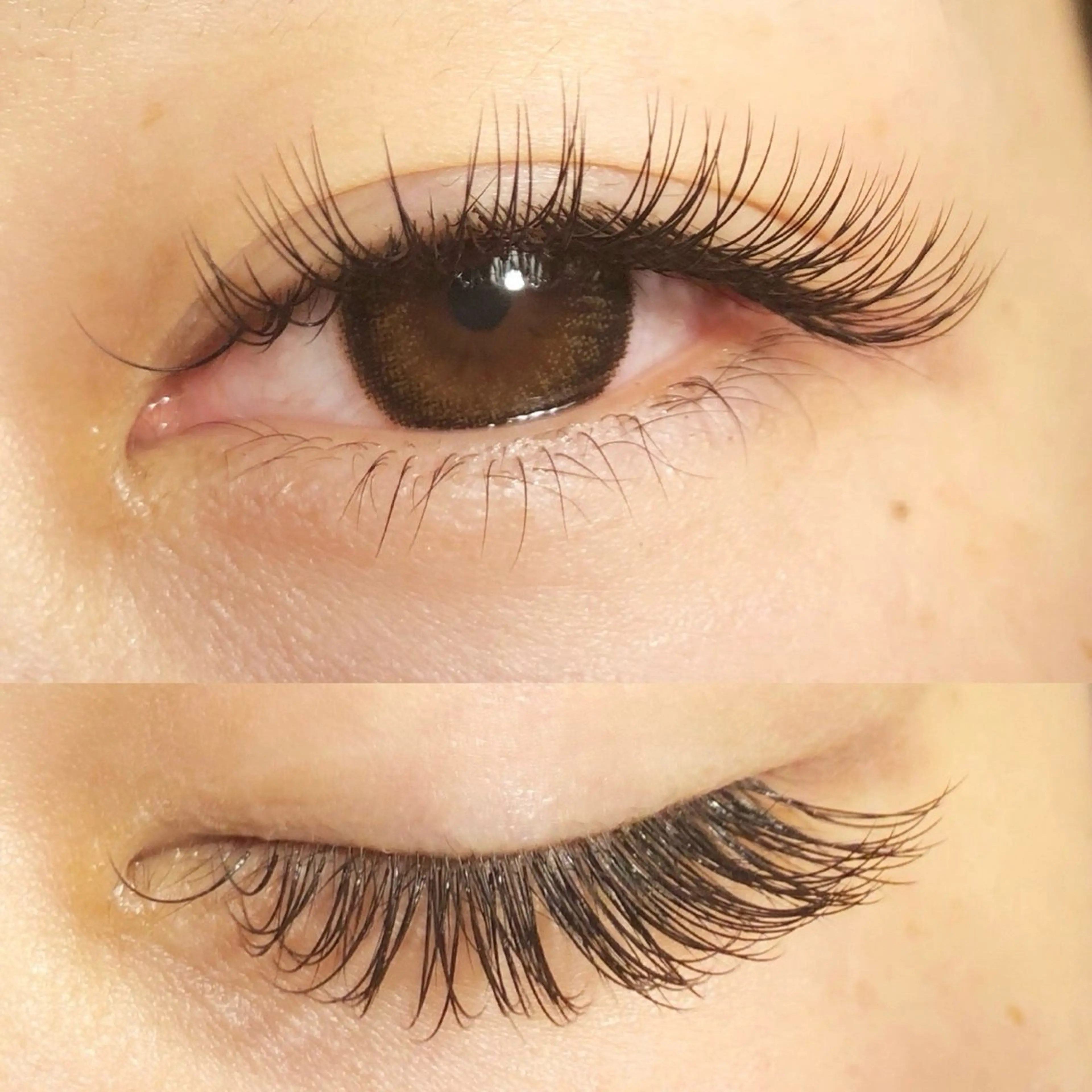 フラットラッシュ 120本までの写真